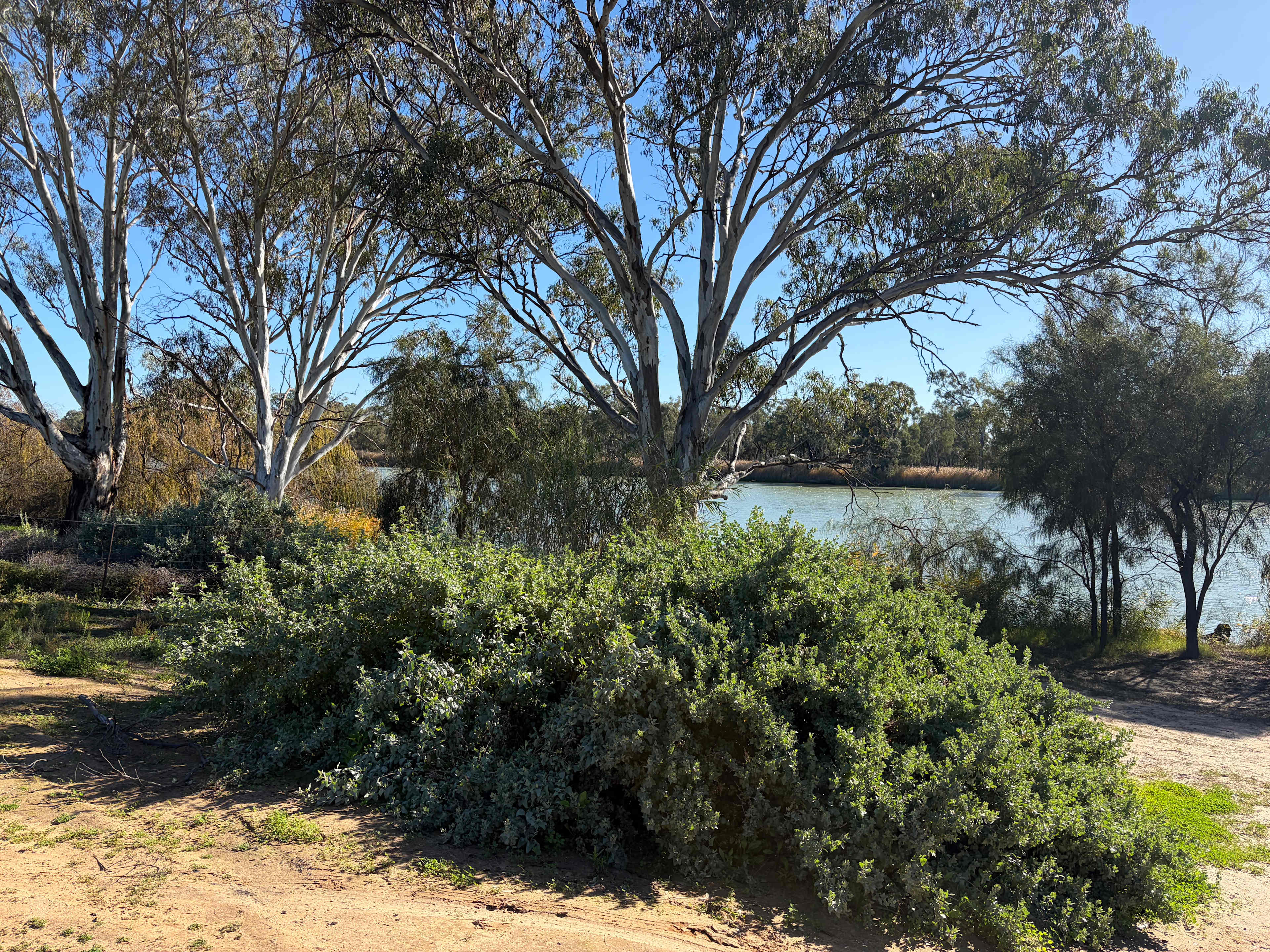 Secluded exclusive river campsite