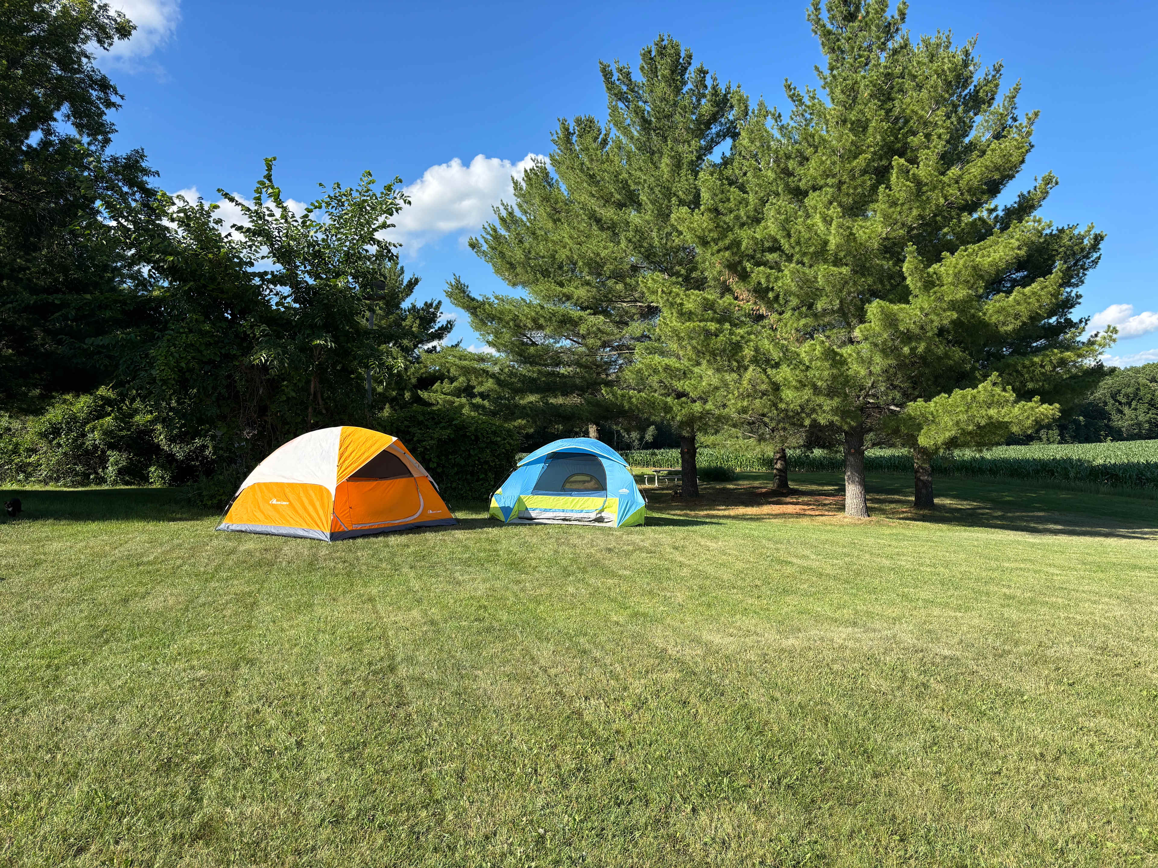 Picture of the site