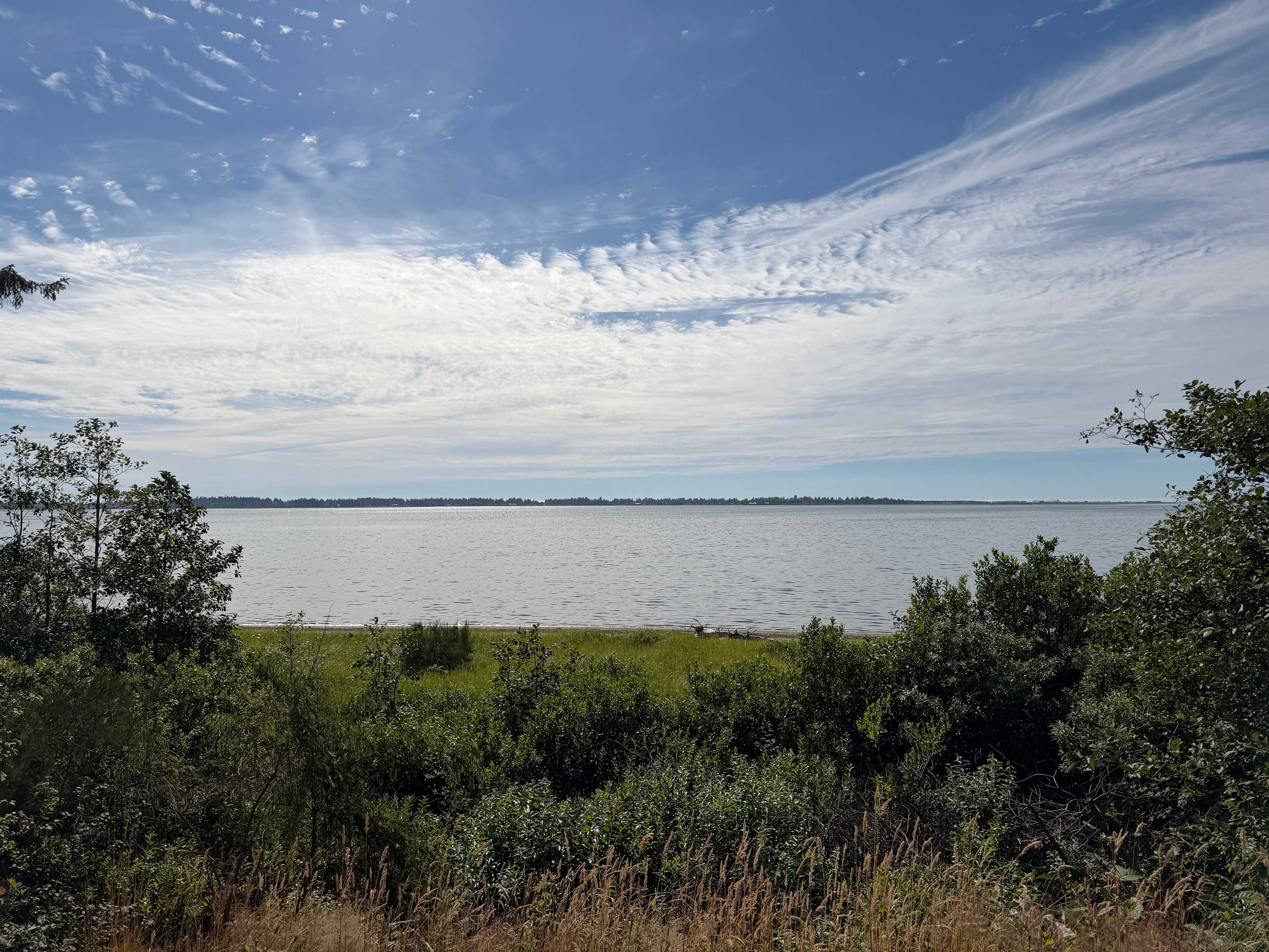 View from Site 5
