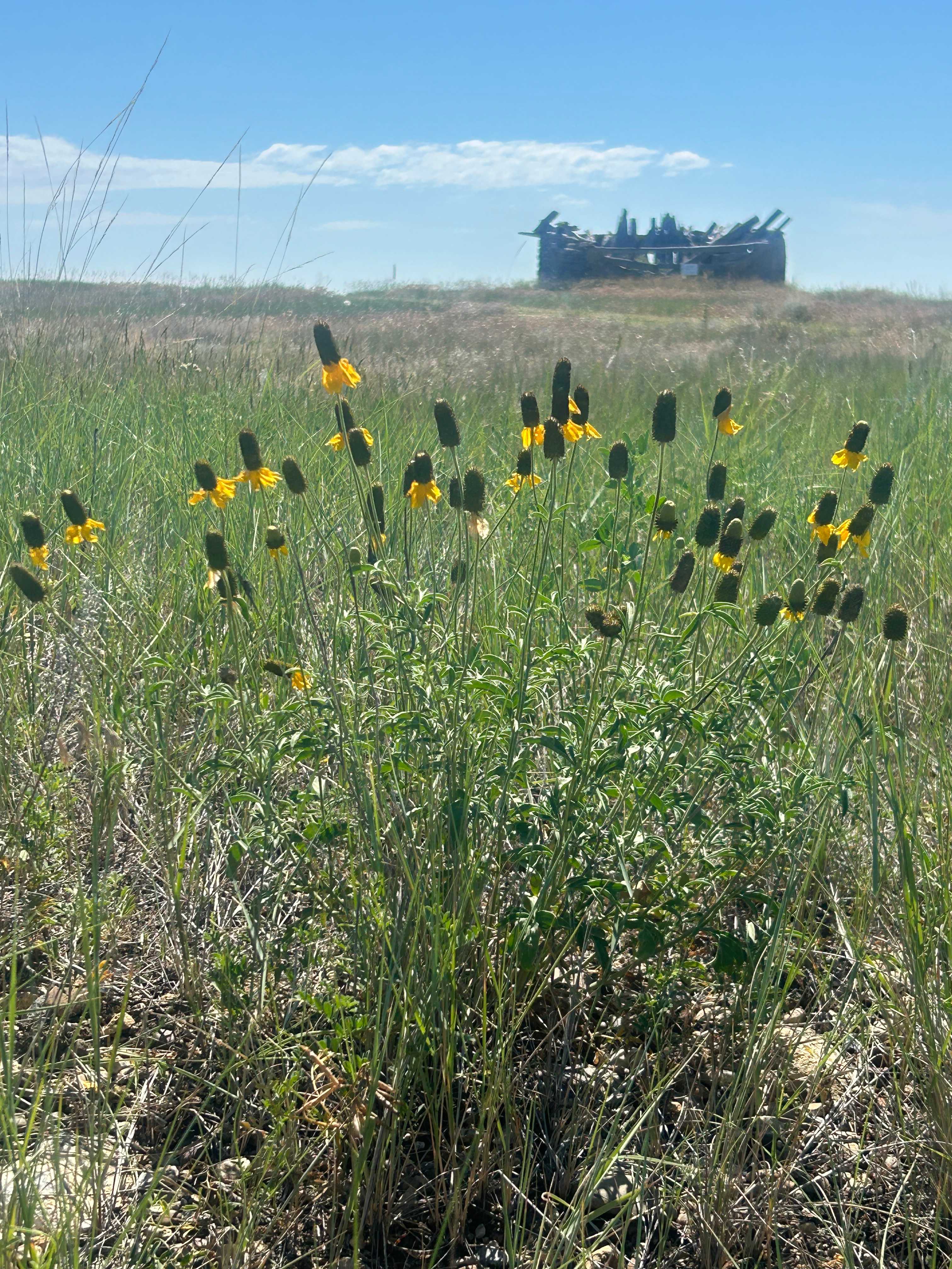 American Prairie Antelope Creek Campground