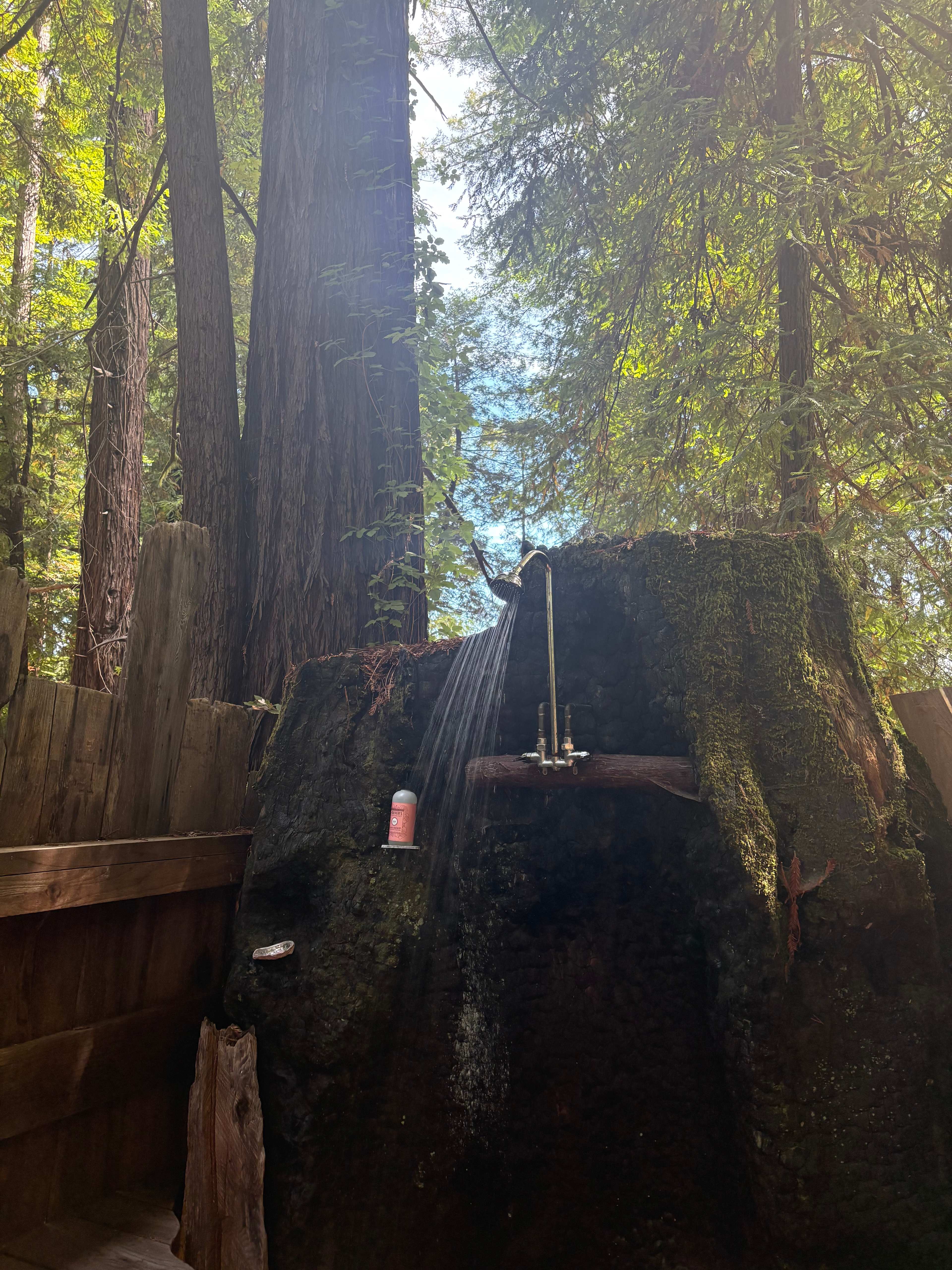 Camp Larabee - Secluded Redwoods