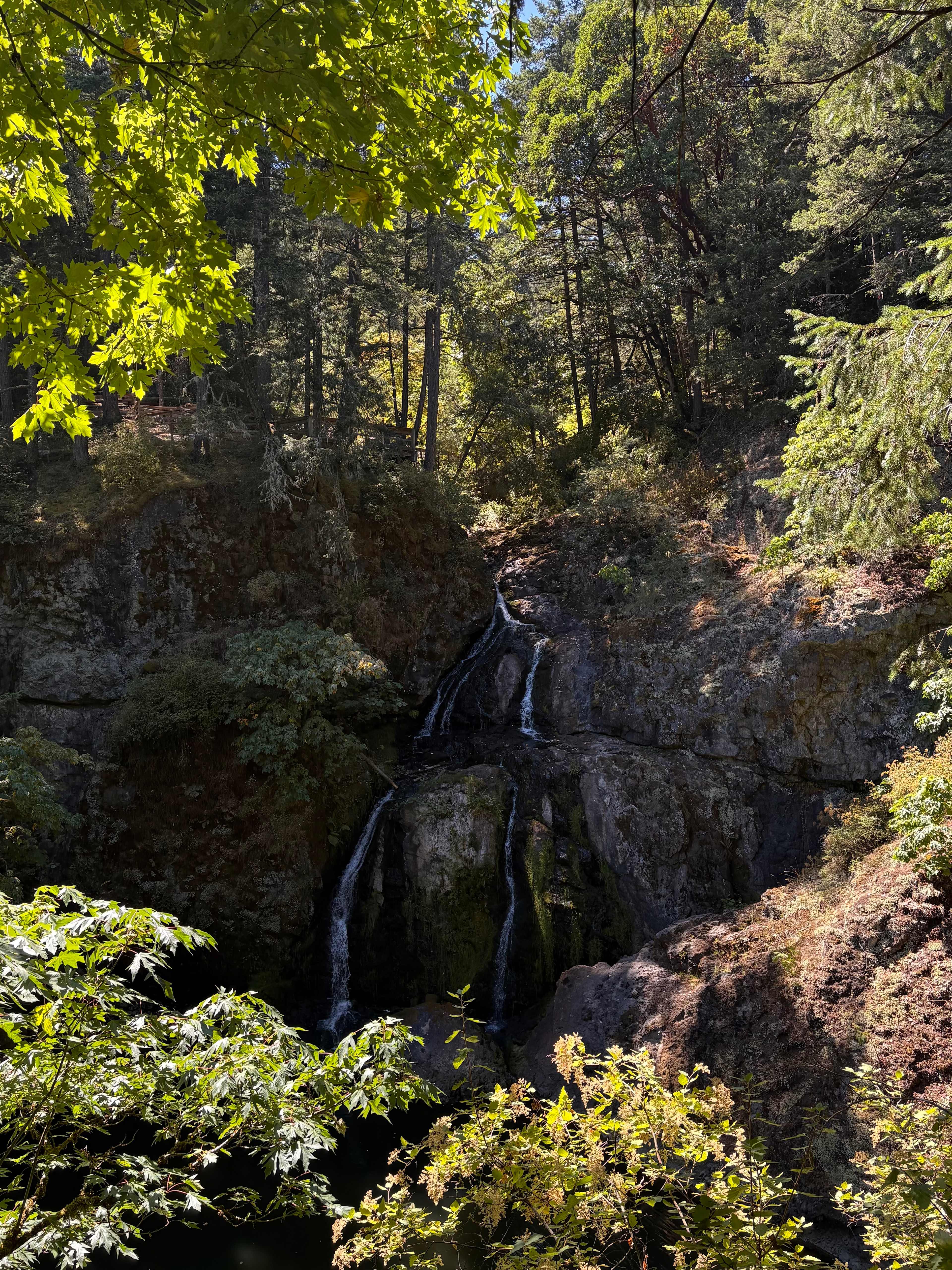 Witty’s Lagoon Sitting Lady Falls