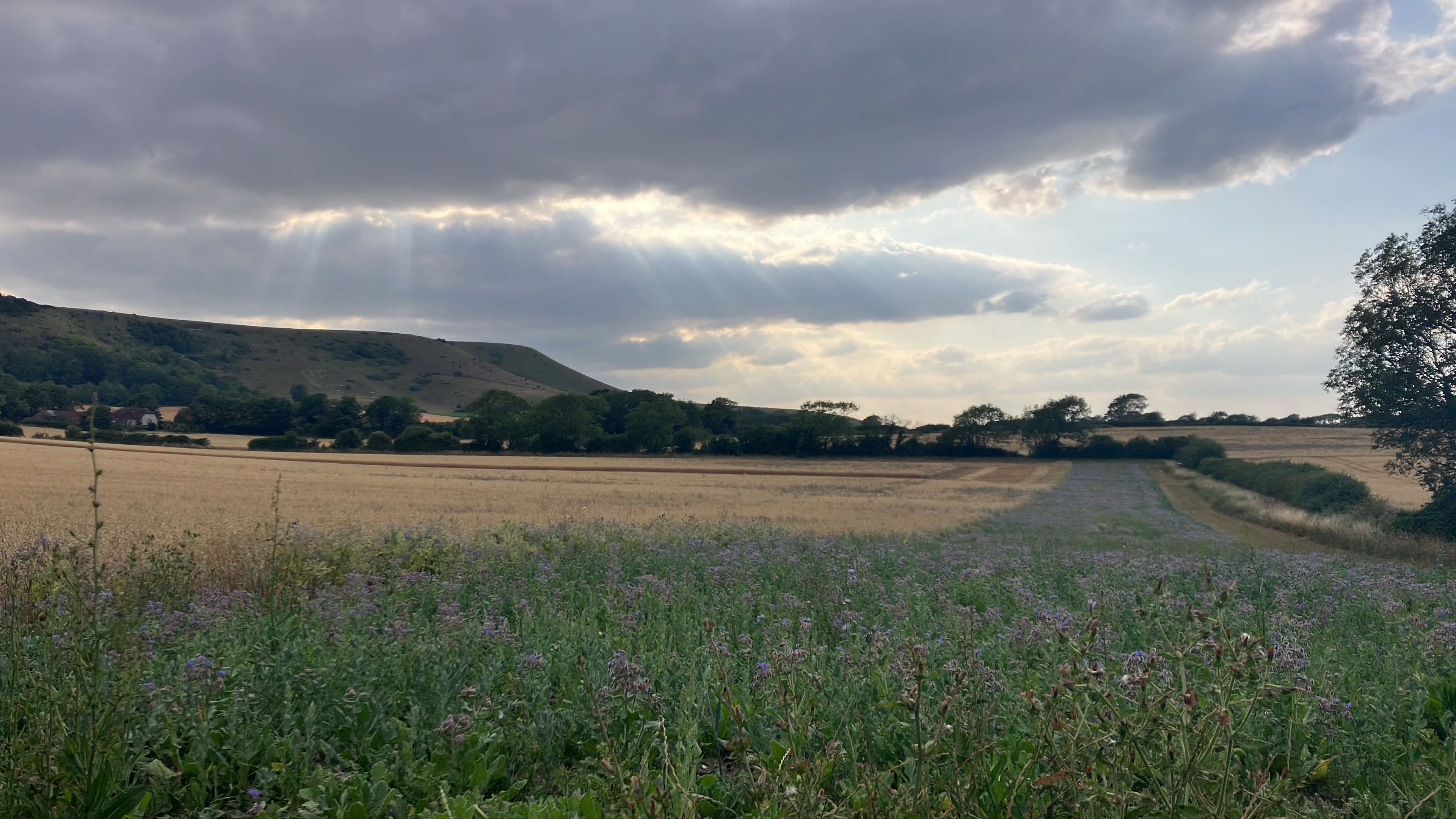 Alciston Court Farm