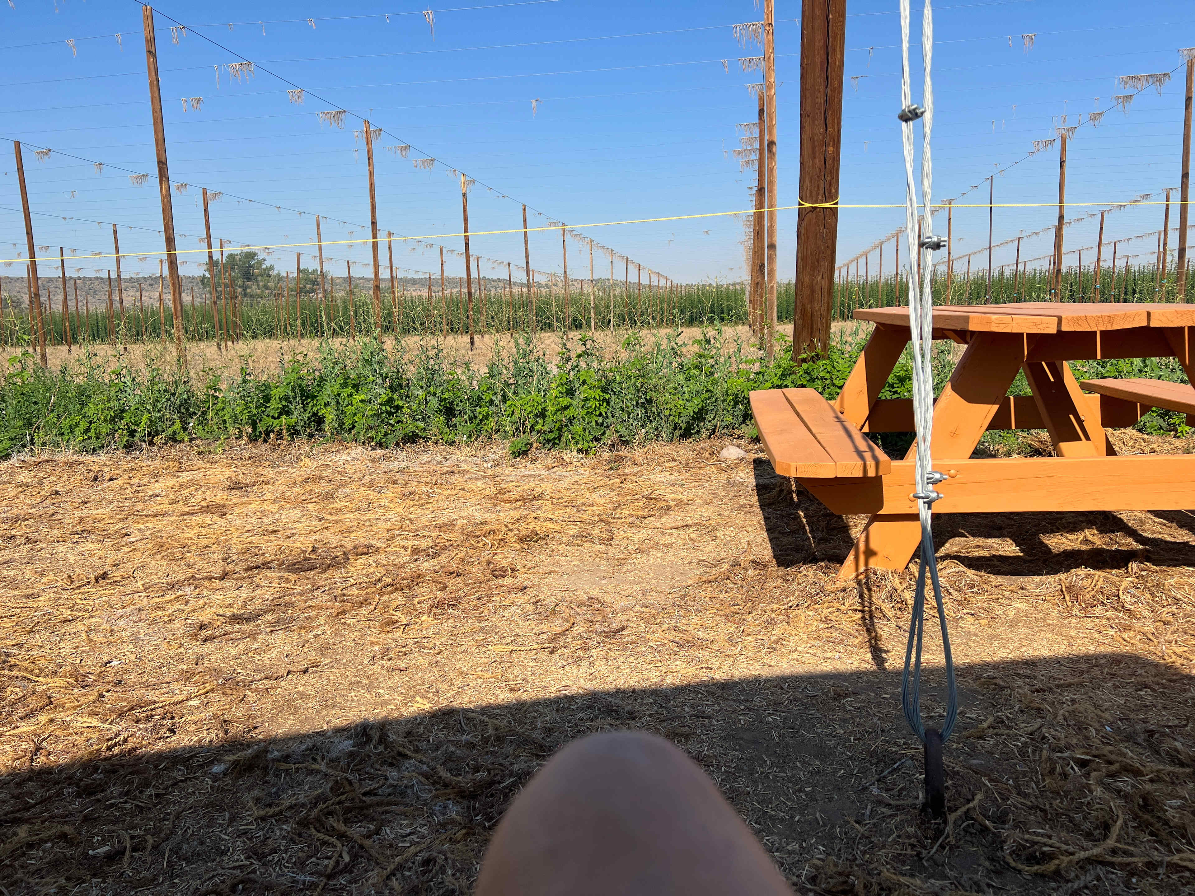 The Hop Yard Hideaway