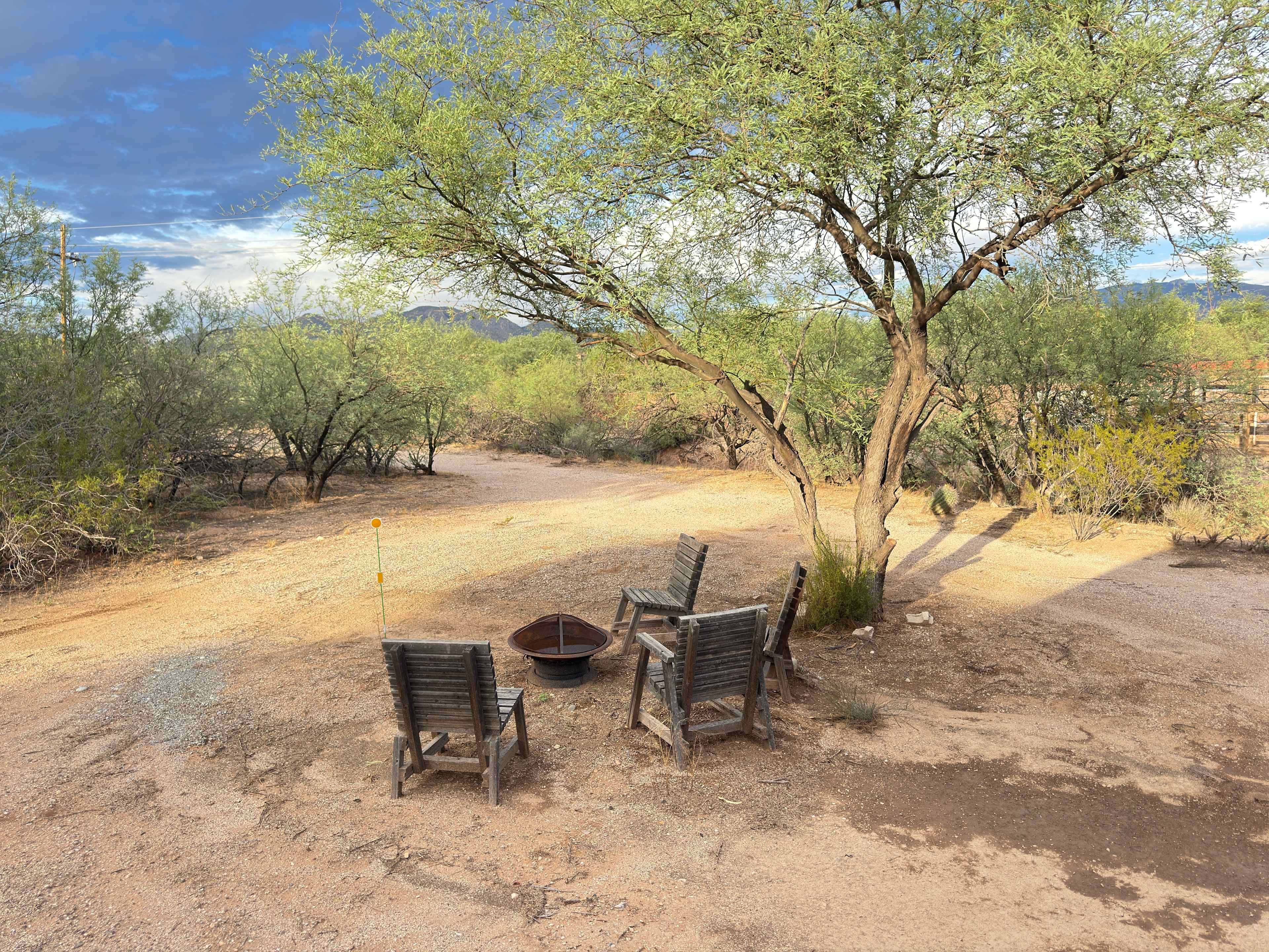 Picture of the site