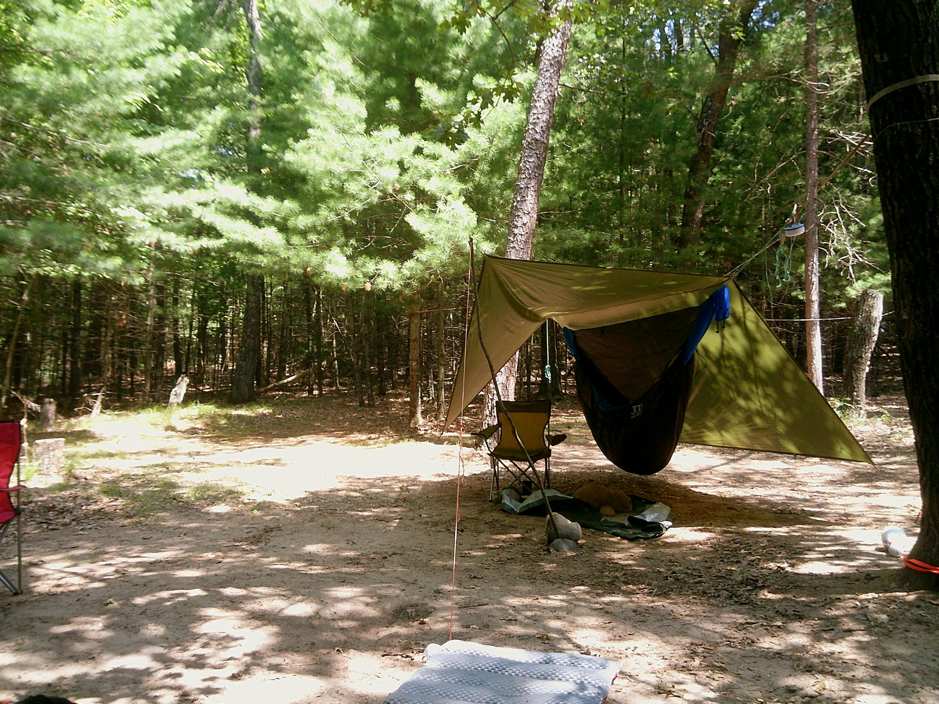 The summer camp experience