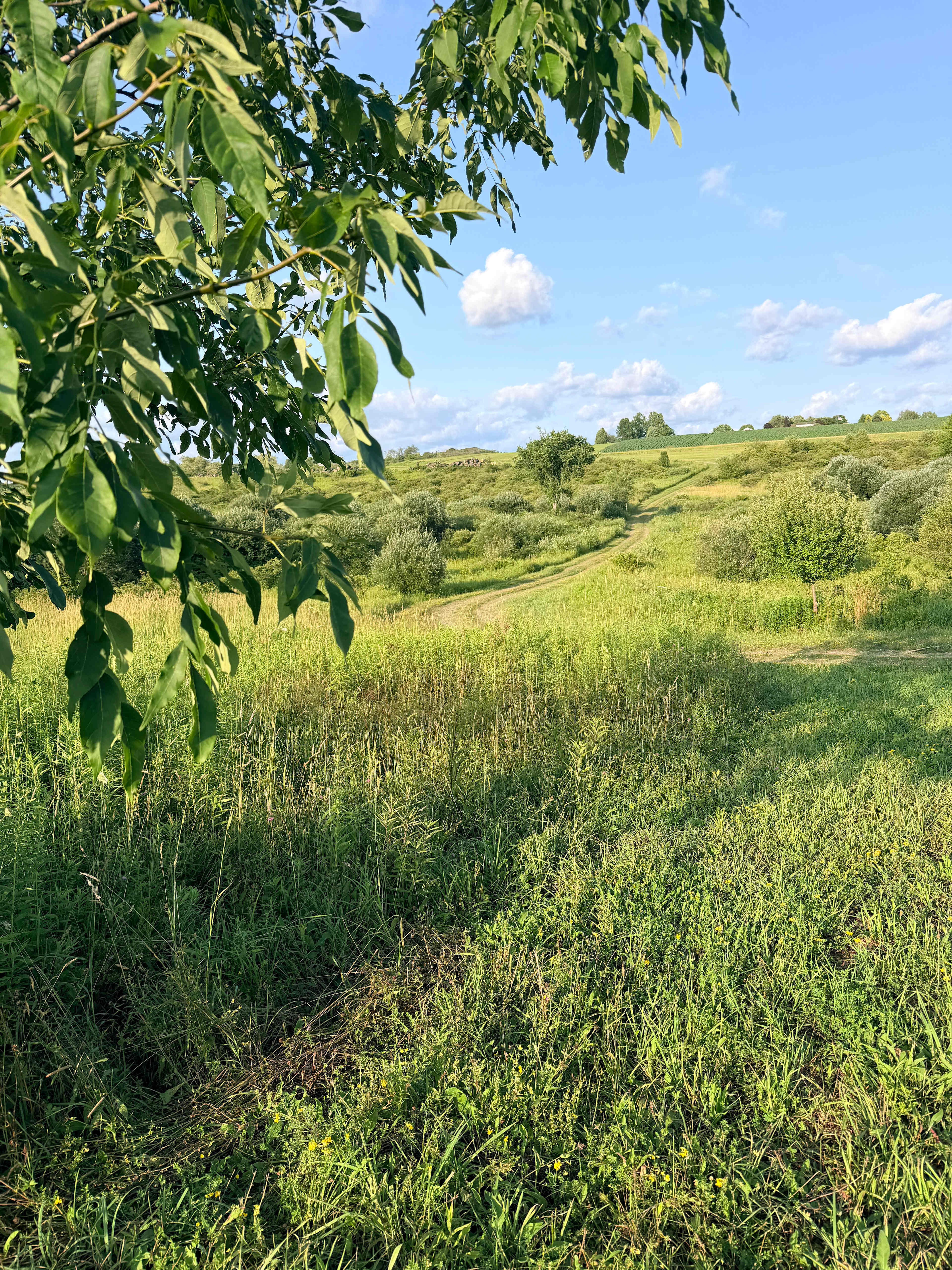 May Farms