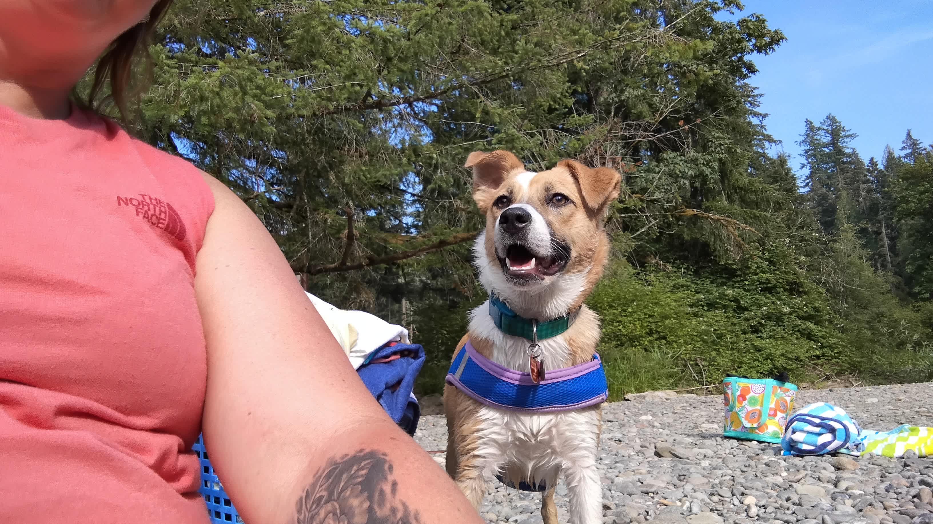 Waffles at the River