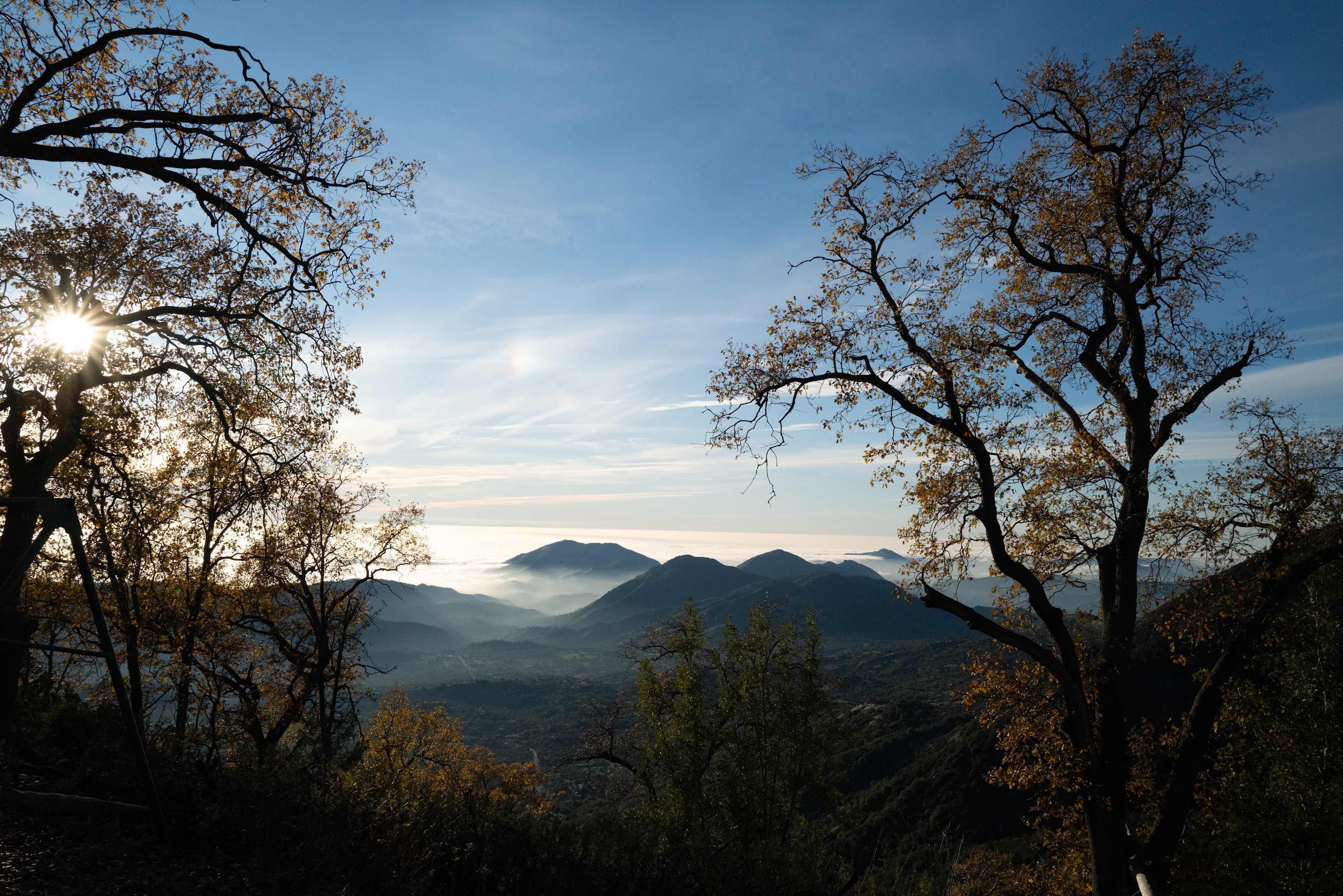 Sequoia Highland Camp