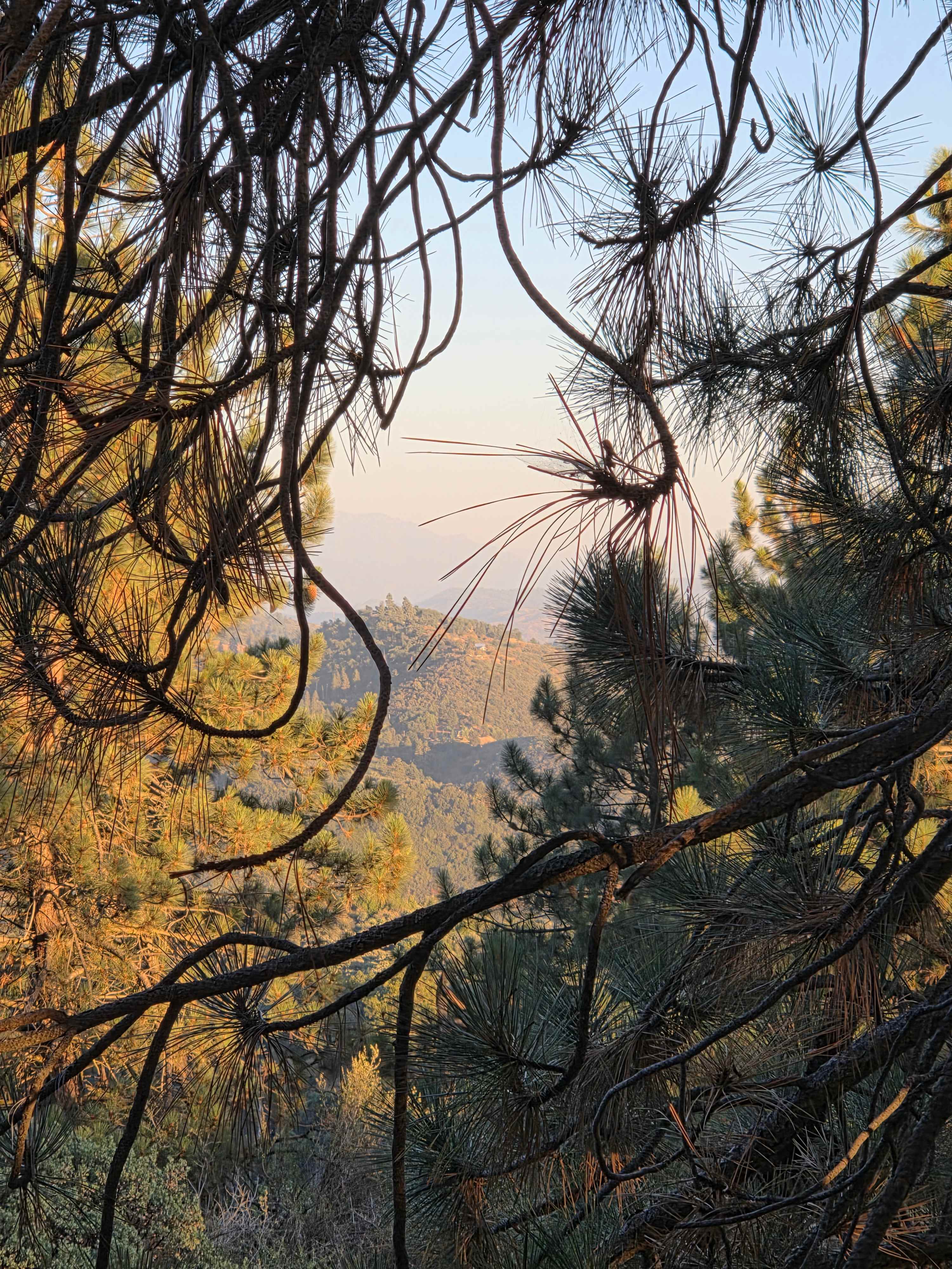 View of the valley