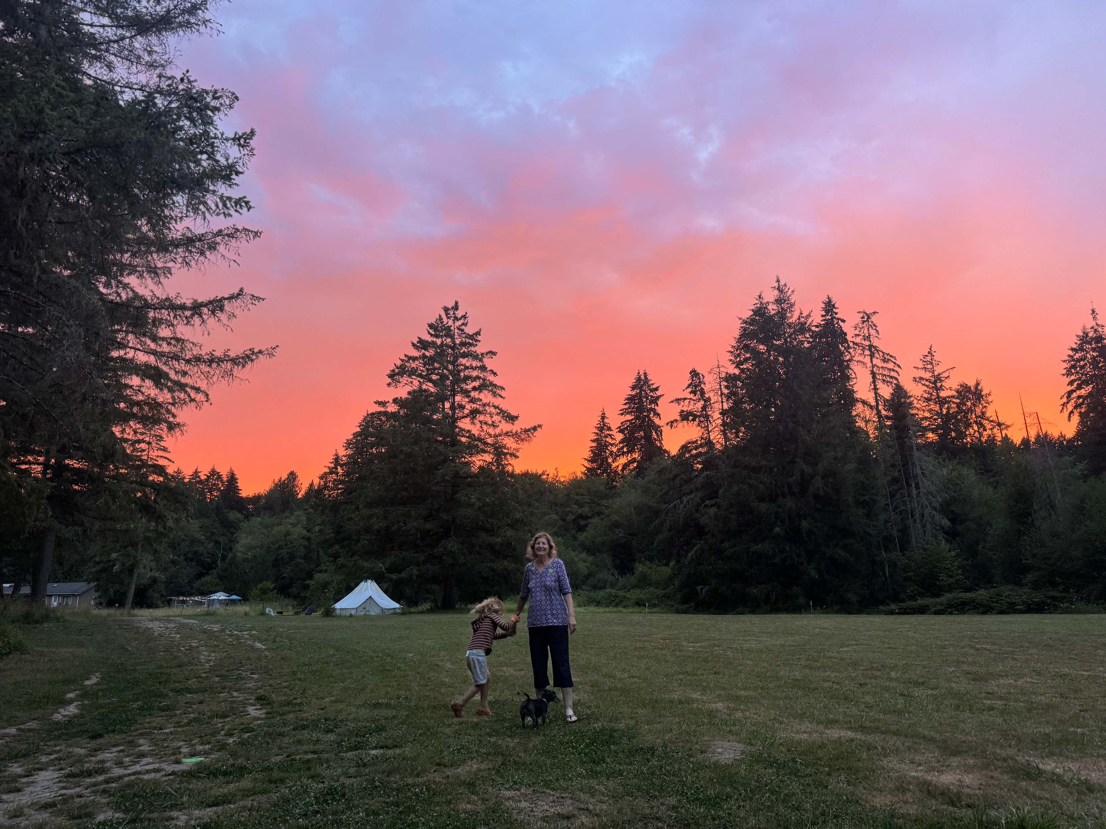 Sunset on the meadow