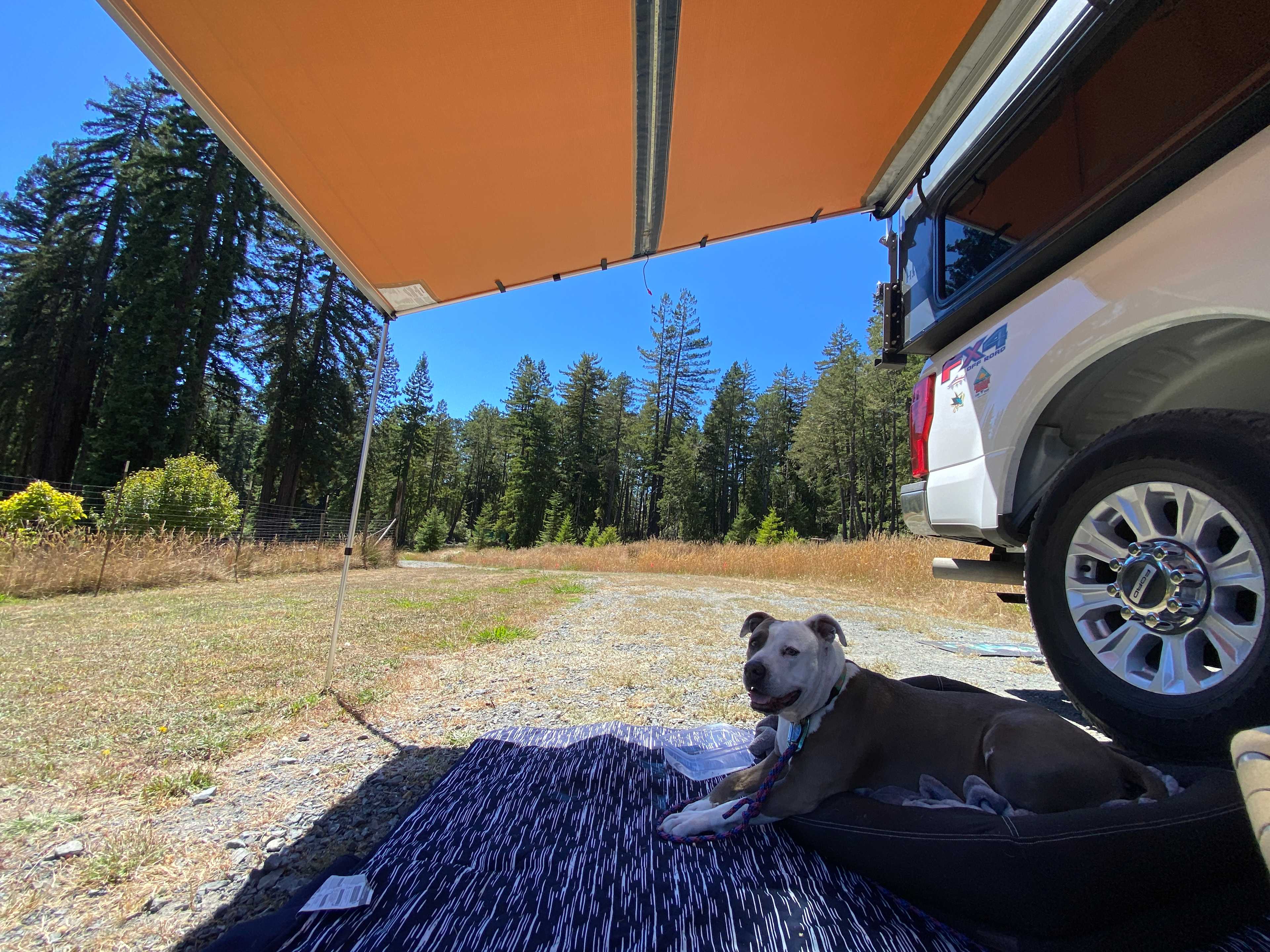 82* in the shade