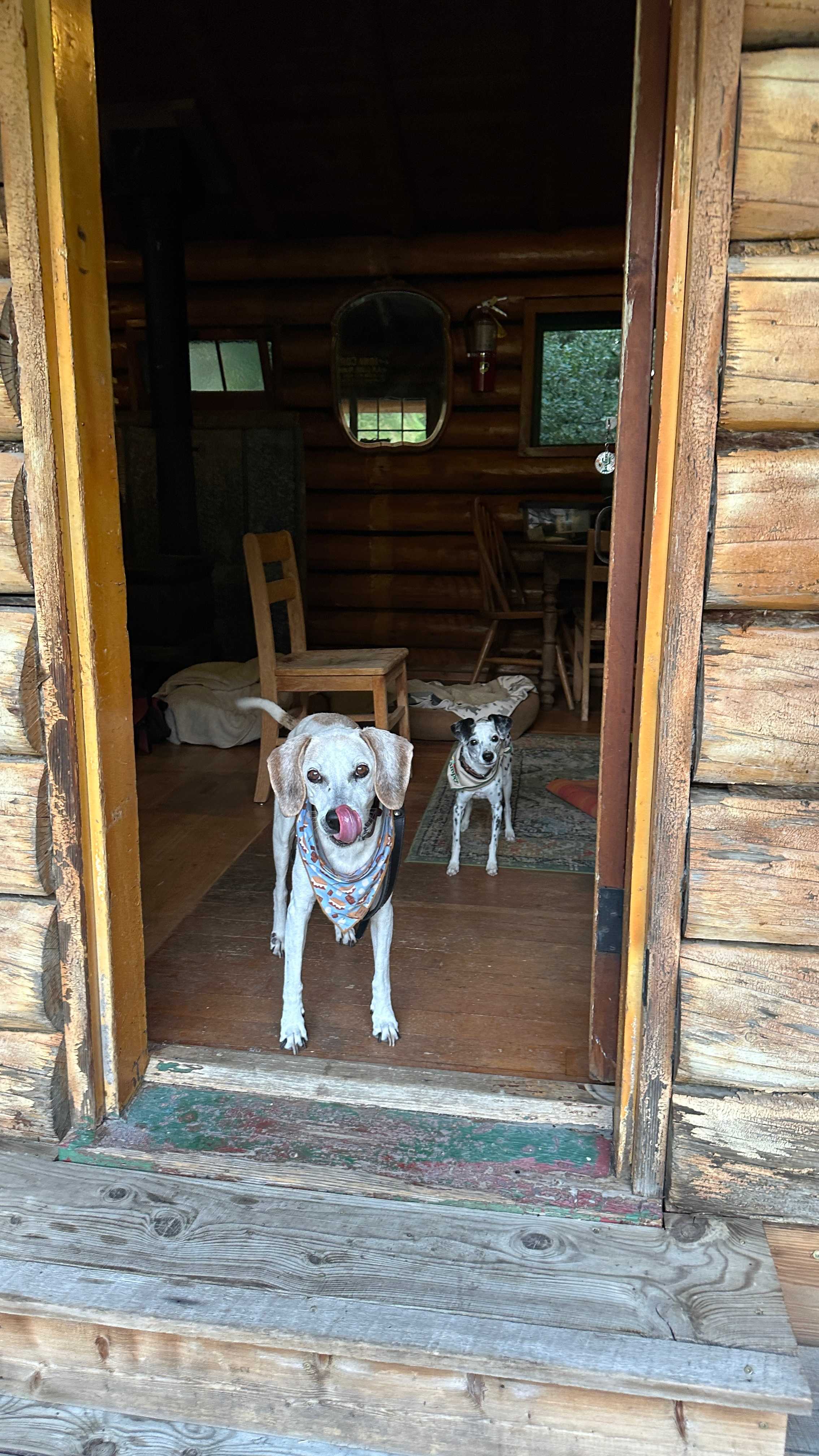 Yellowstone City Guest Ranch