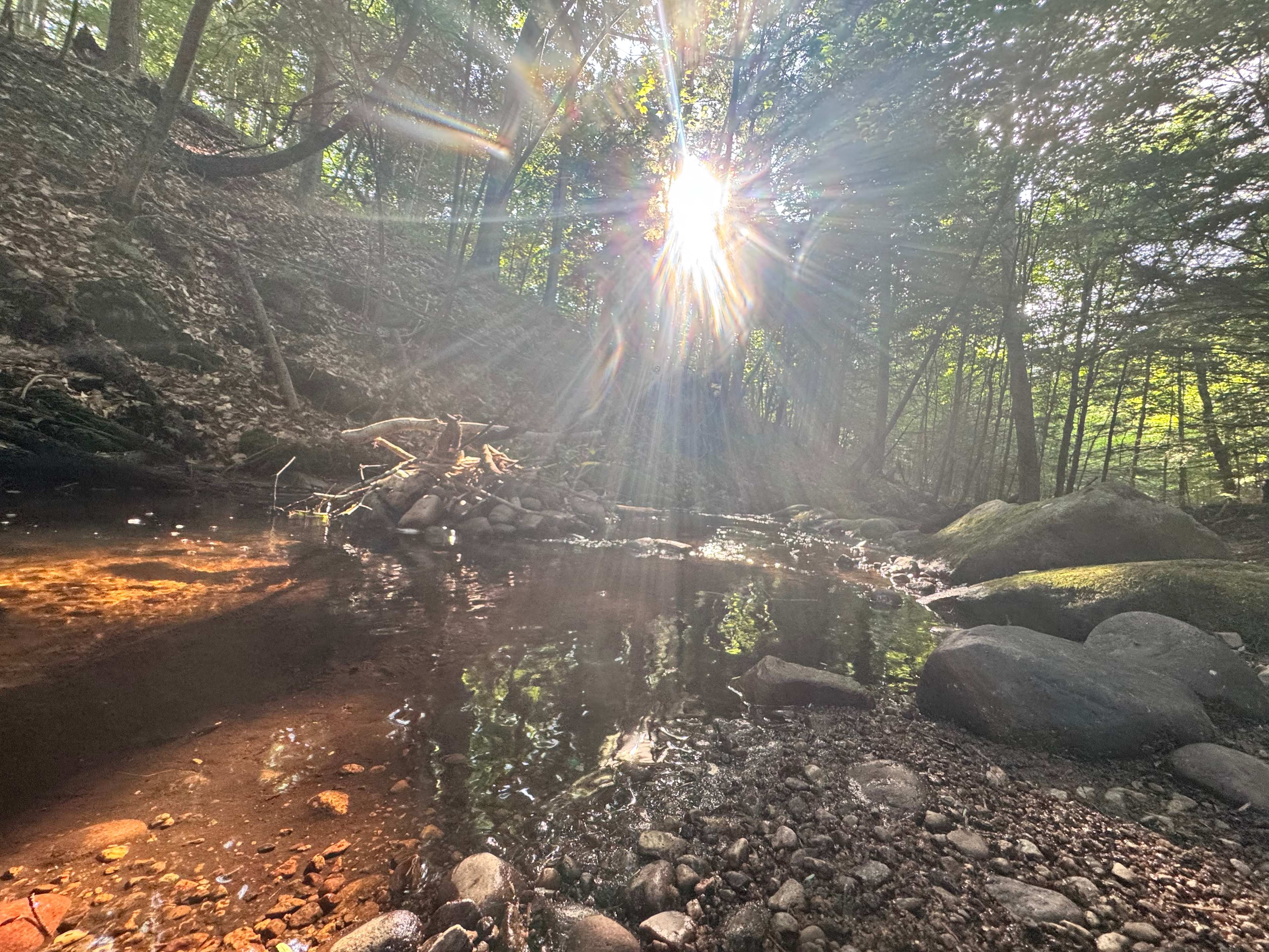 Moss & Stone Creek