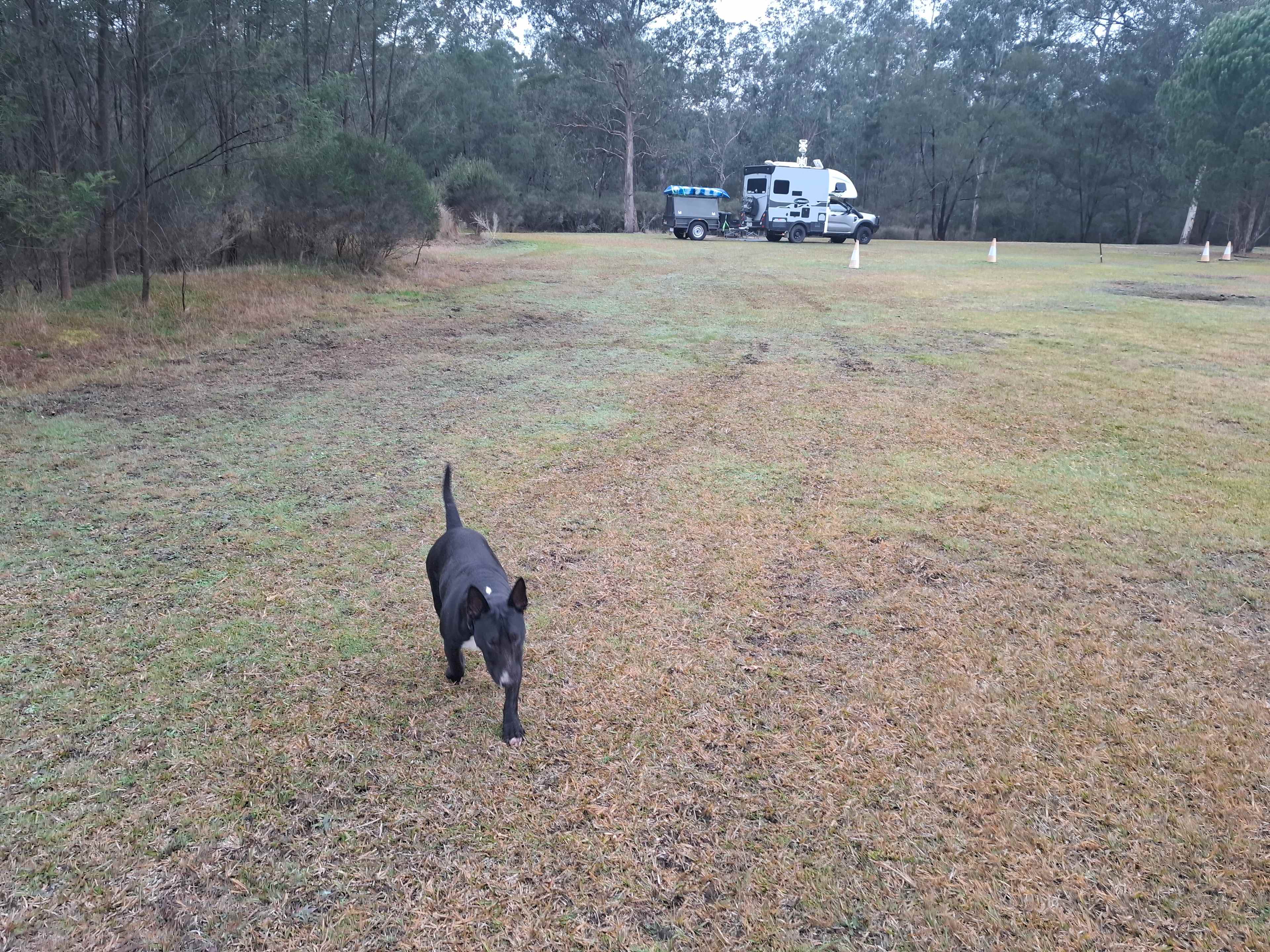 Come on throw the ball