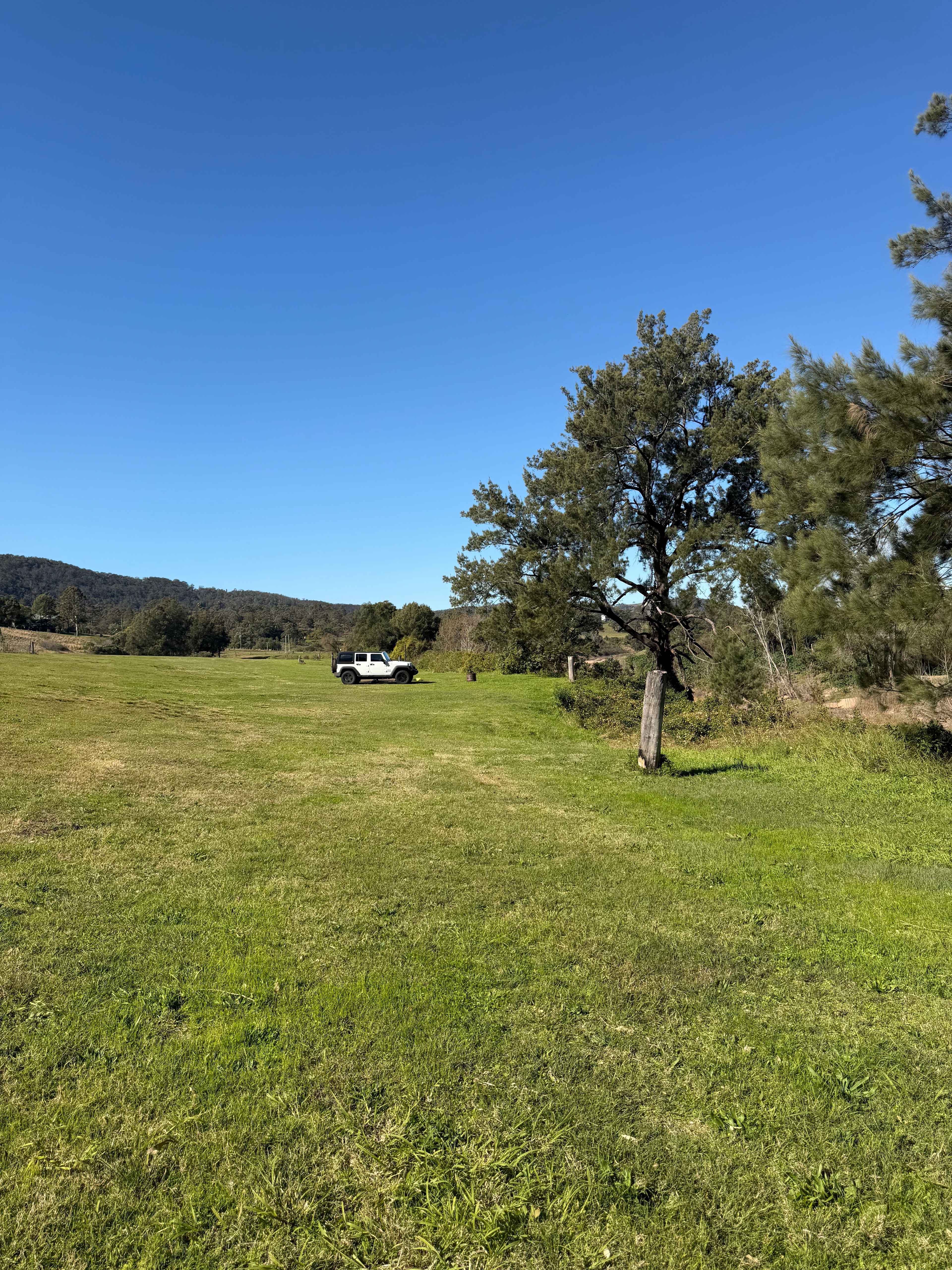 Looking across the property to my jeep, beautiful and green 