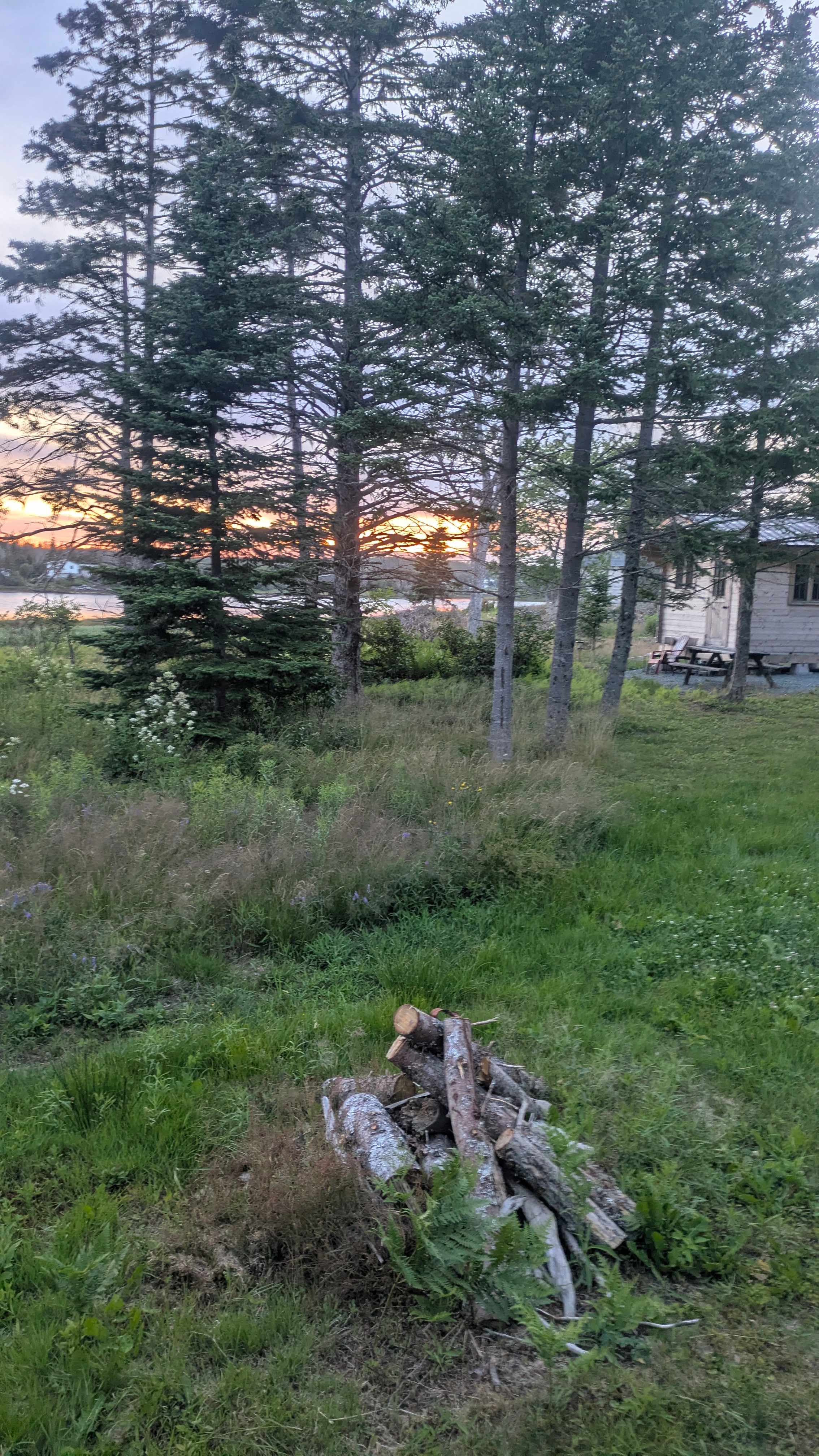 Wild Islands Camping by the Sea