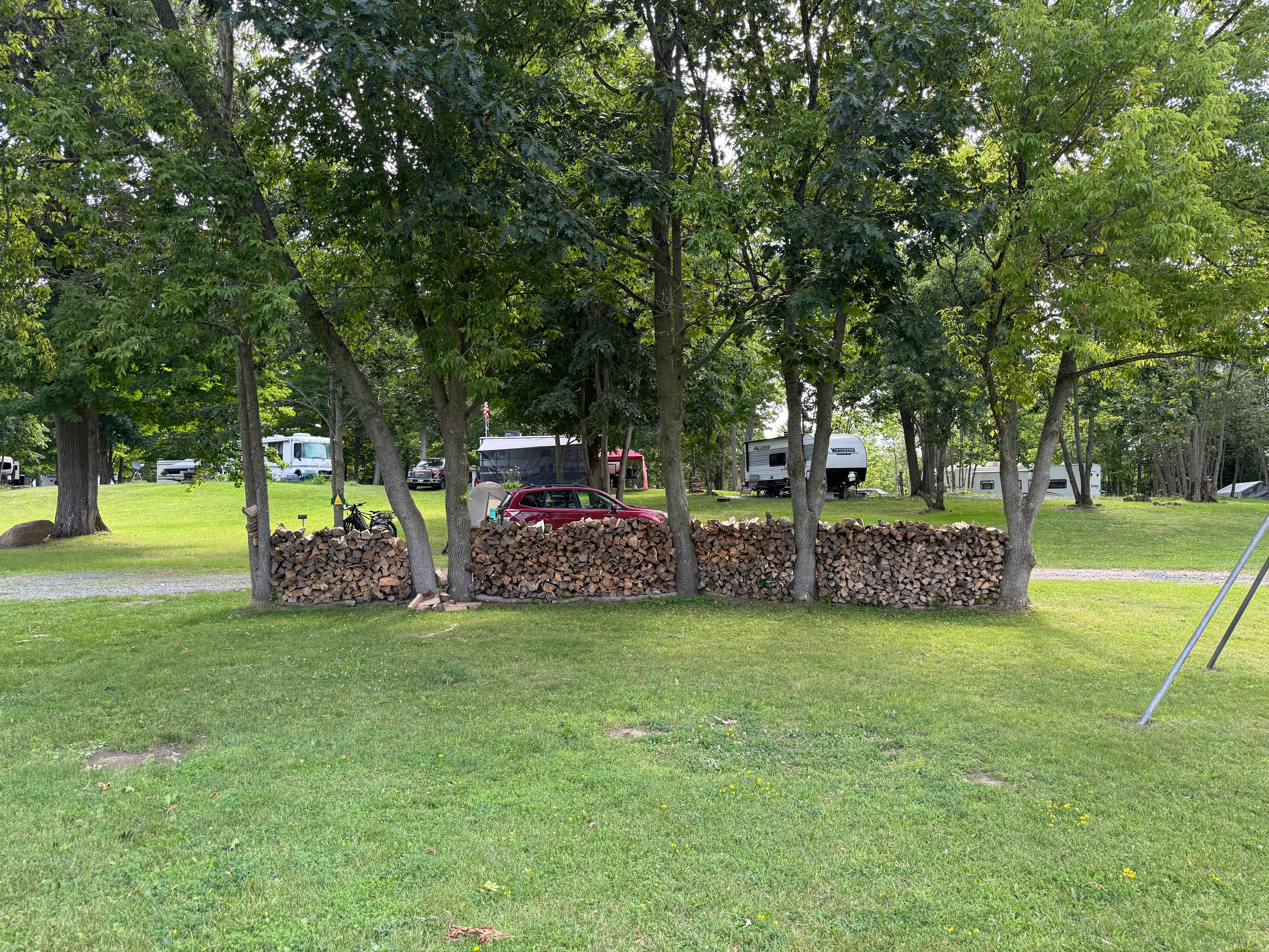 Picture of the site