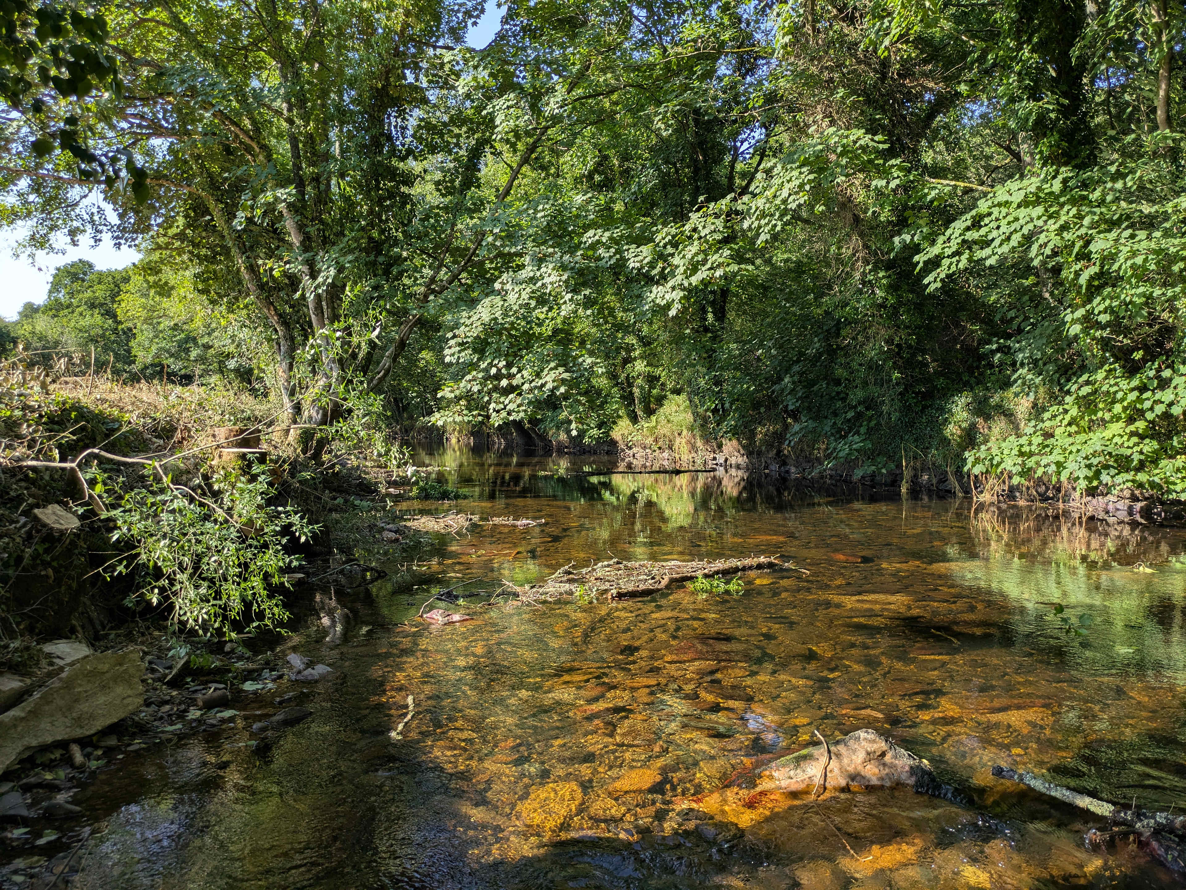WILDSWIM2SAUNA