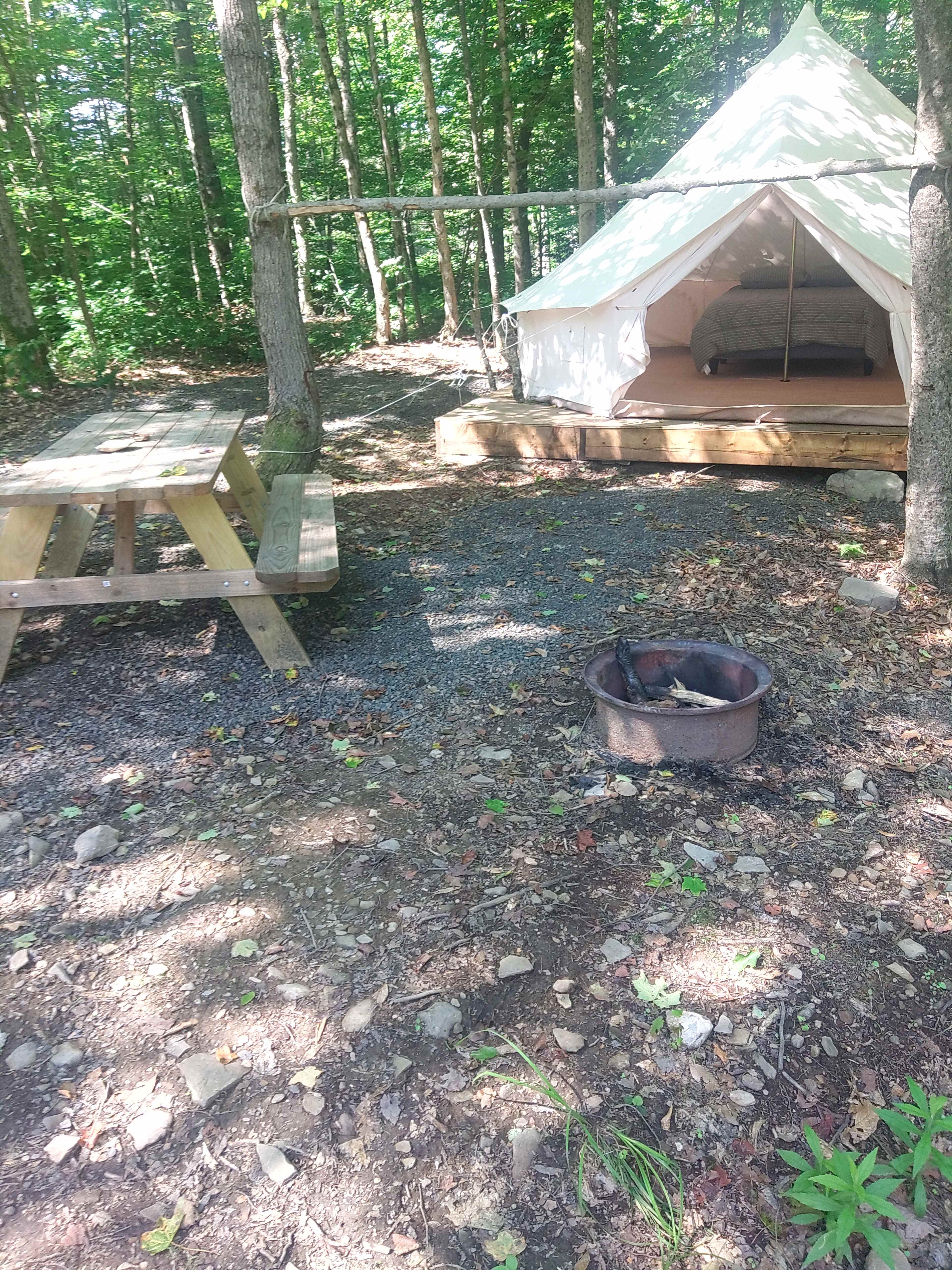 Picture of the site
