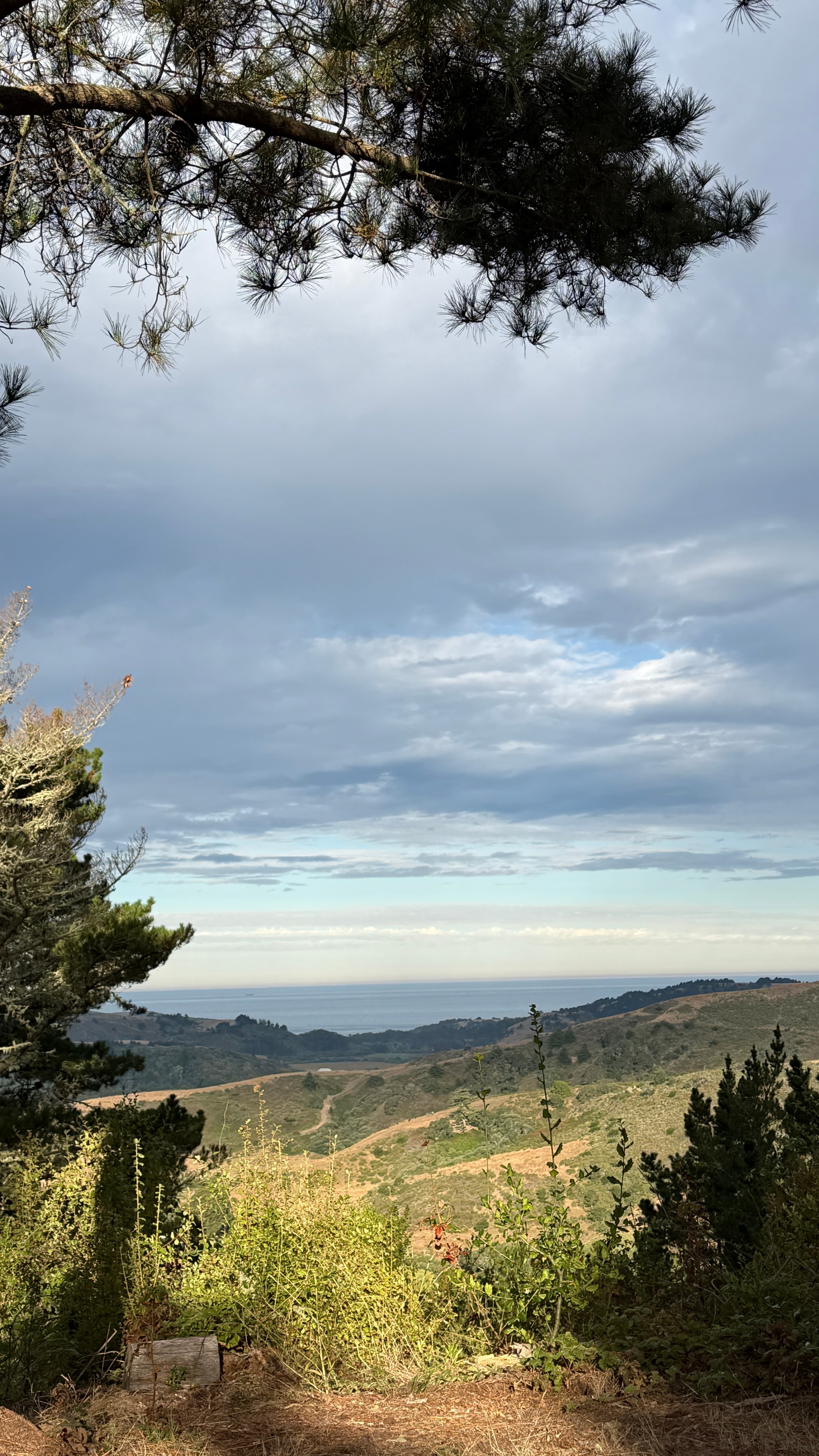 Bear Gulch Hide Out