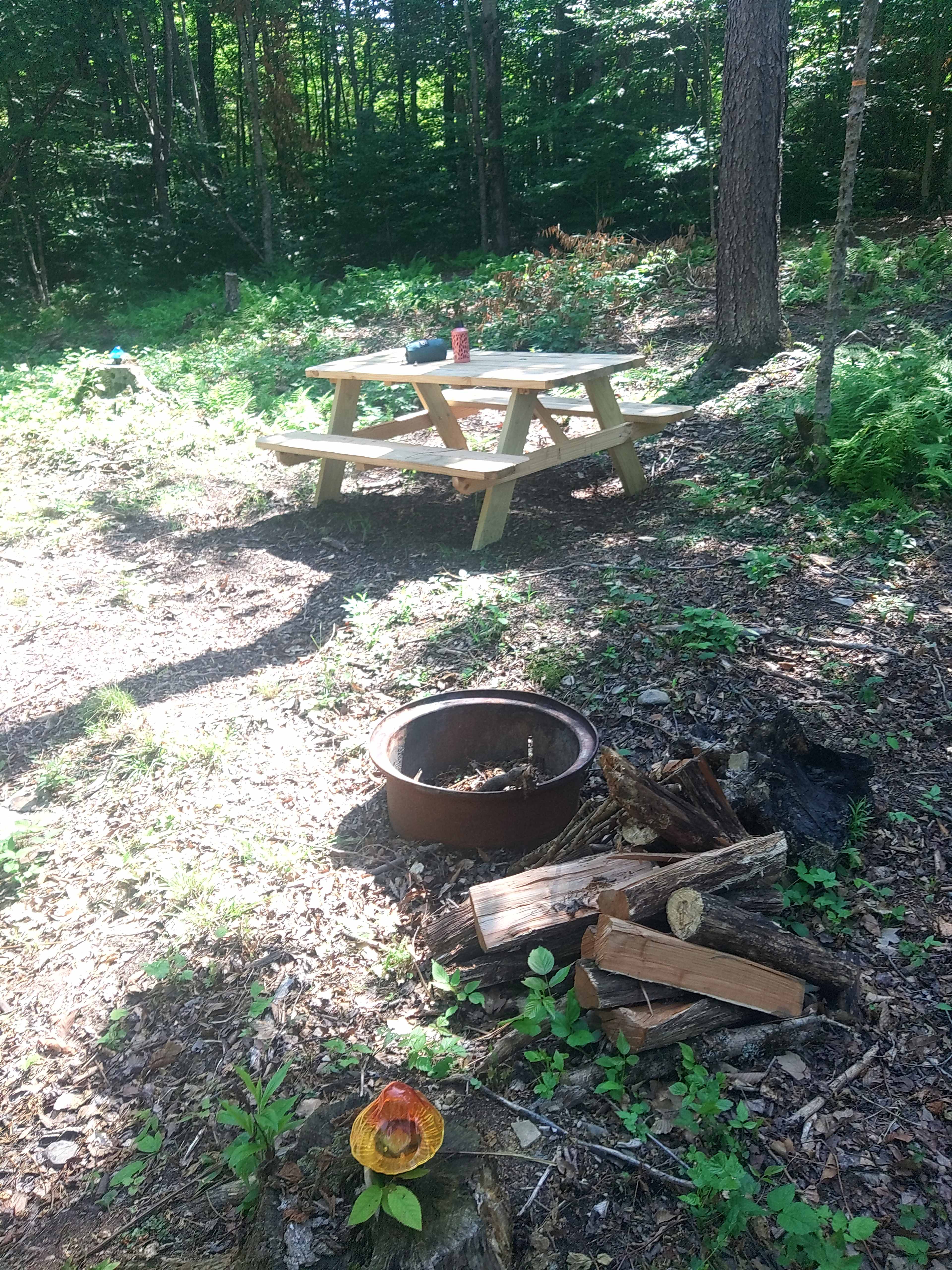 Picture of the site