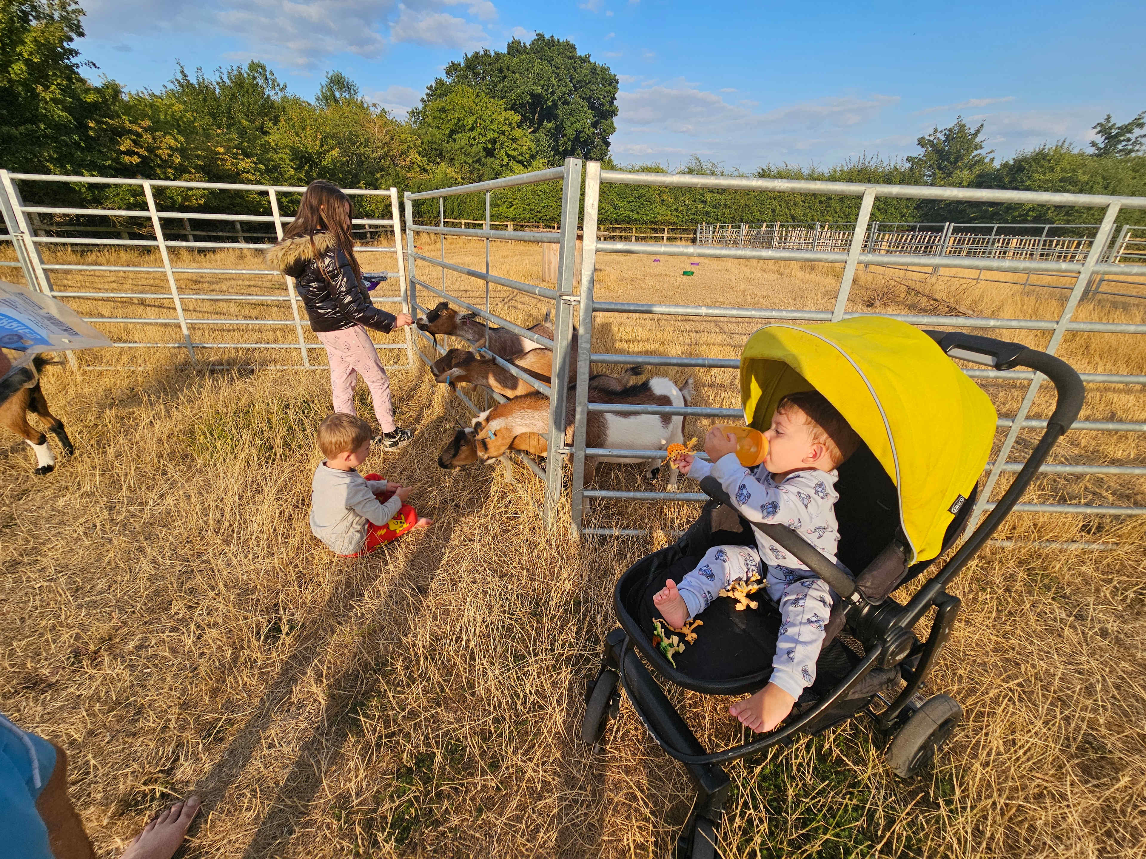 Owl Barn Farm Camping