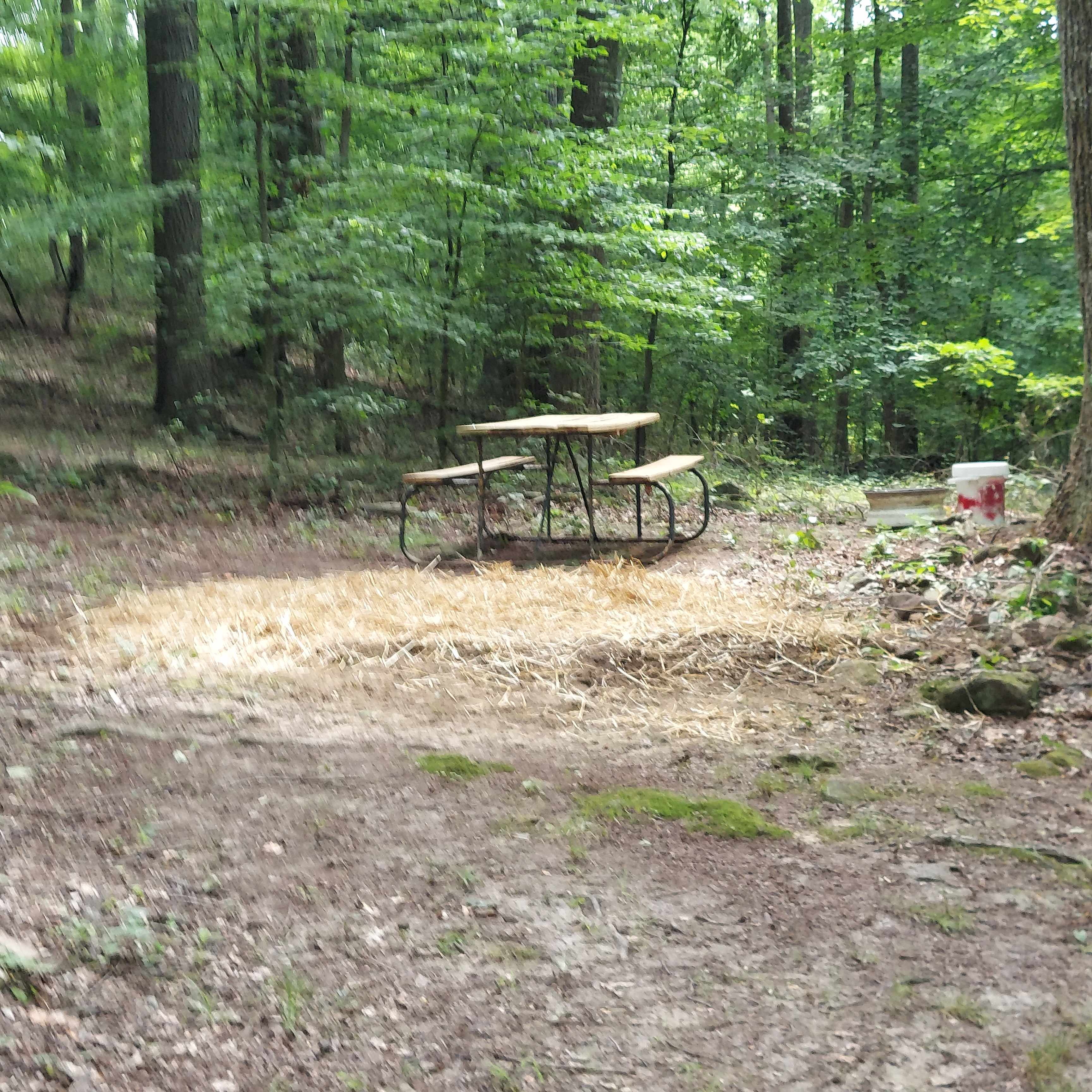Edge of the Ledge Camp