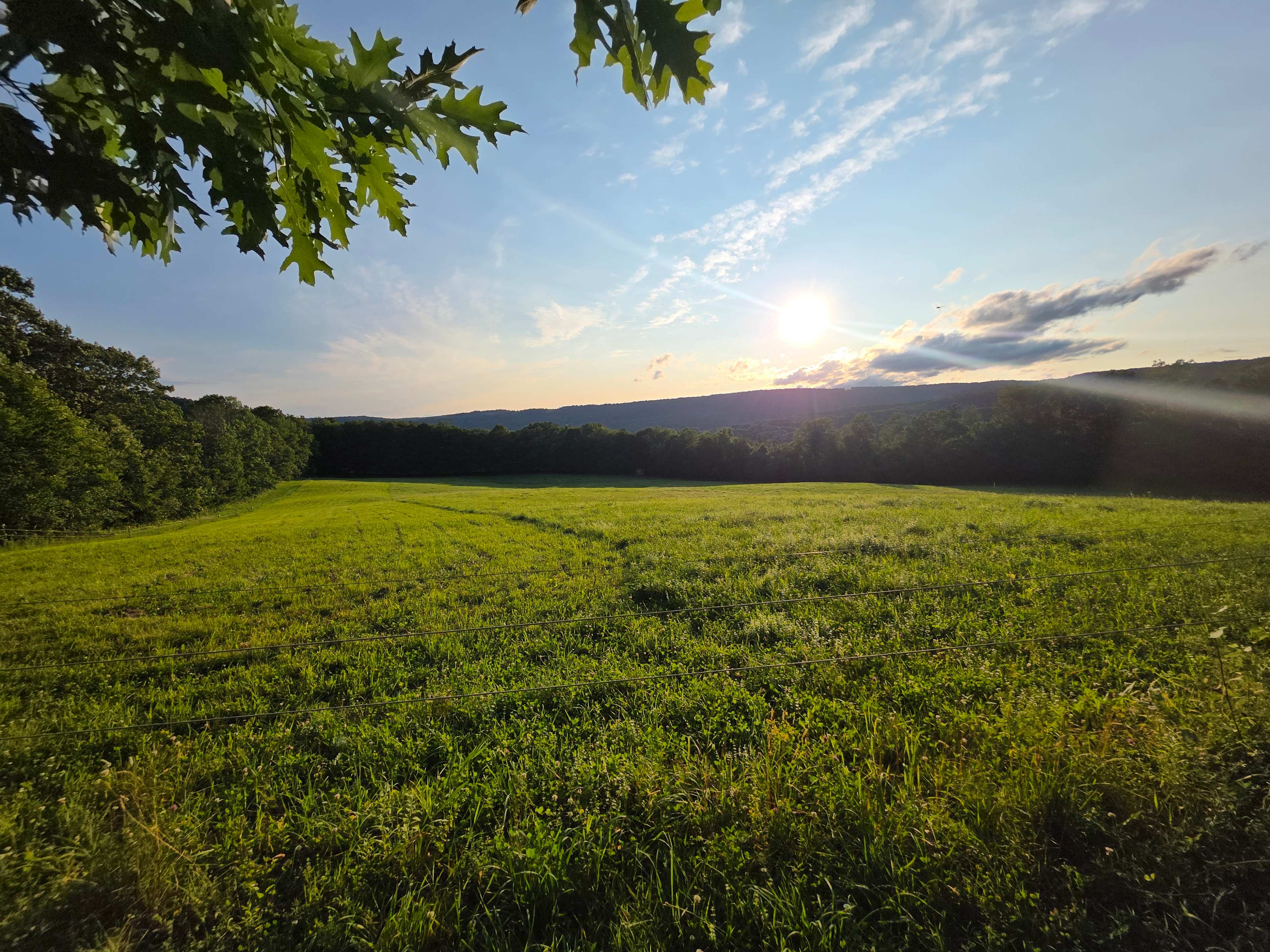 Cherry Plain Sanctuary Farm
