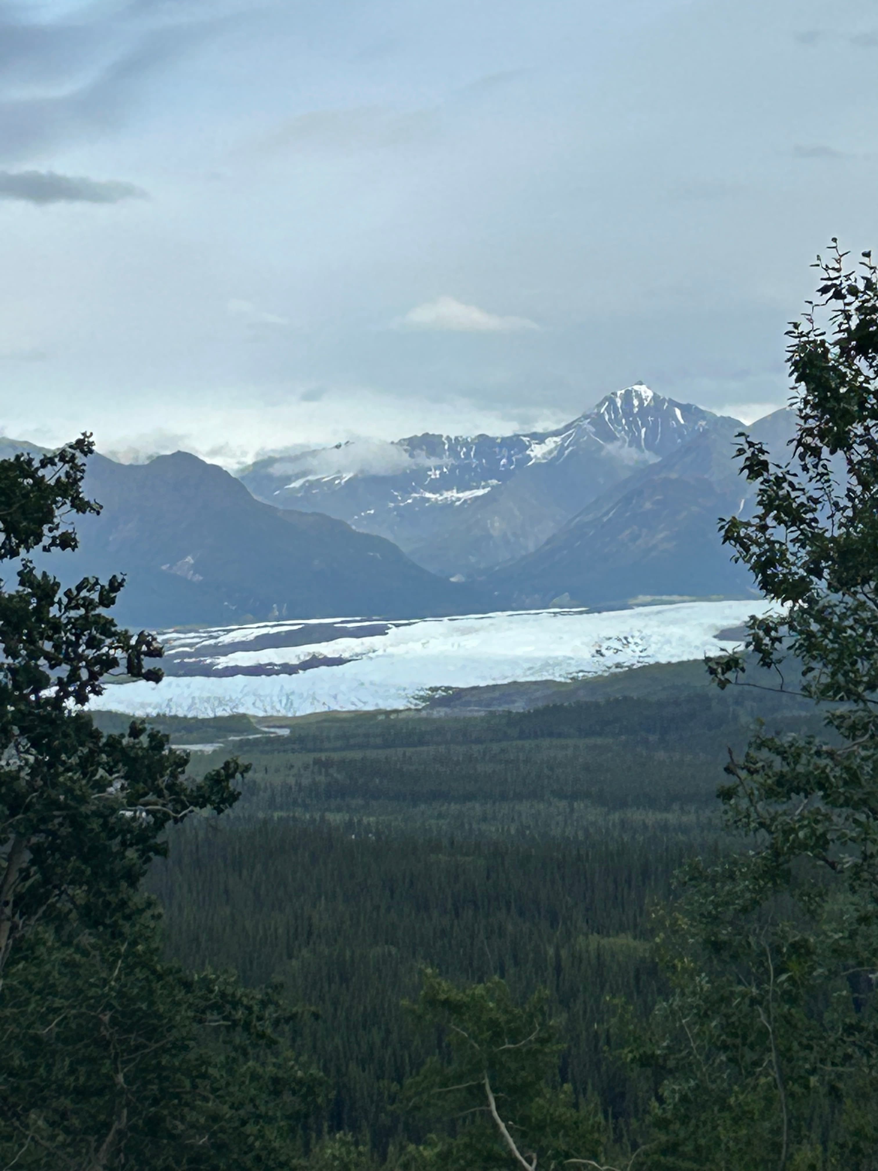 Pinochle Trail Campground