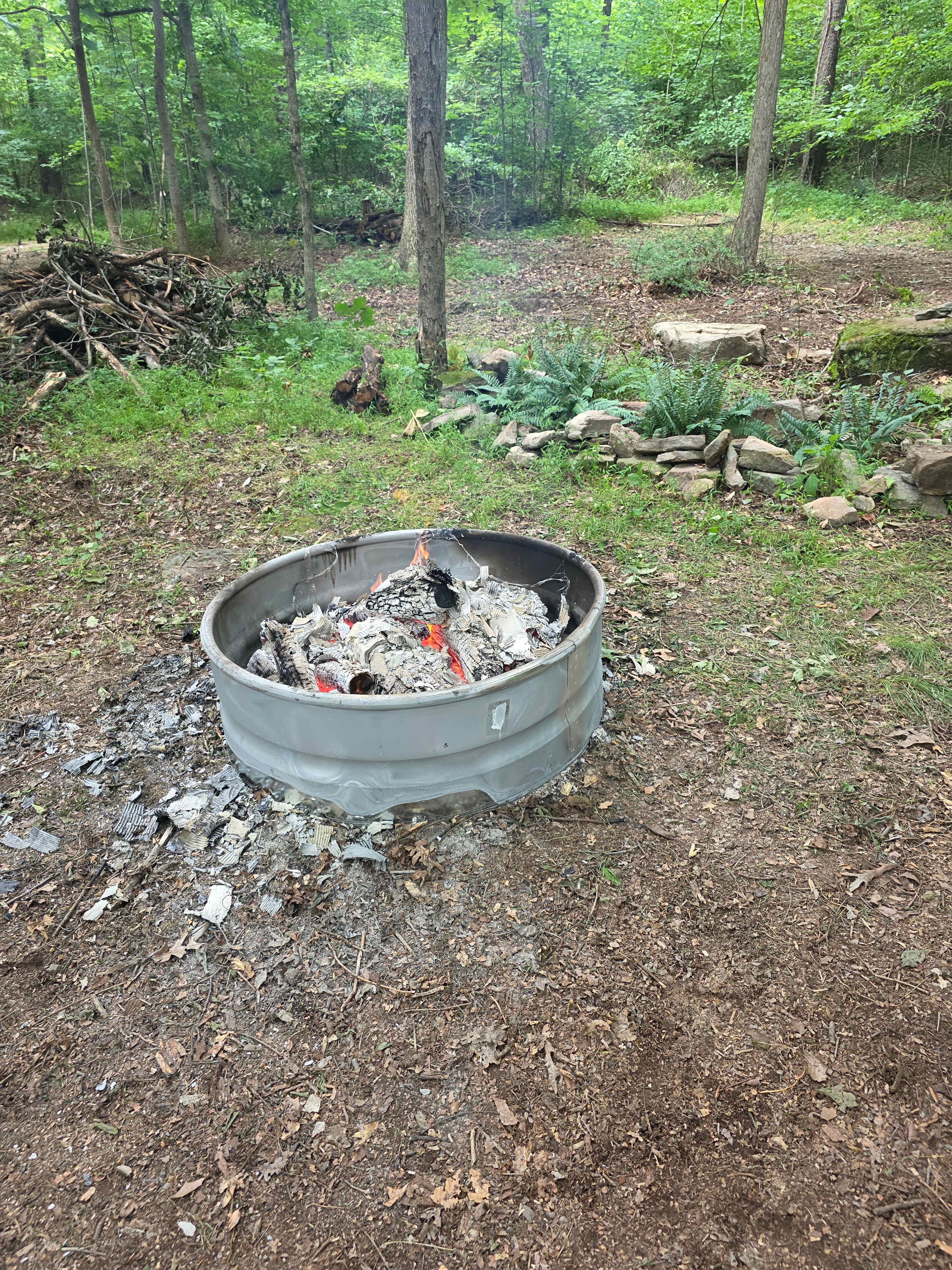 Picture of the site