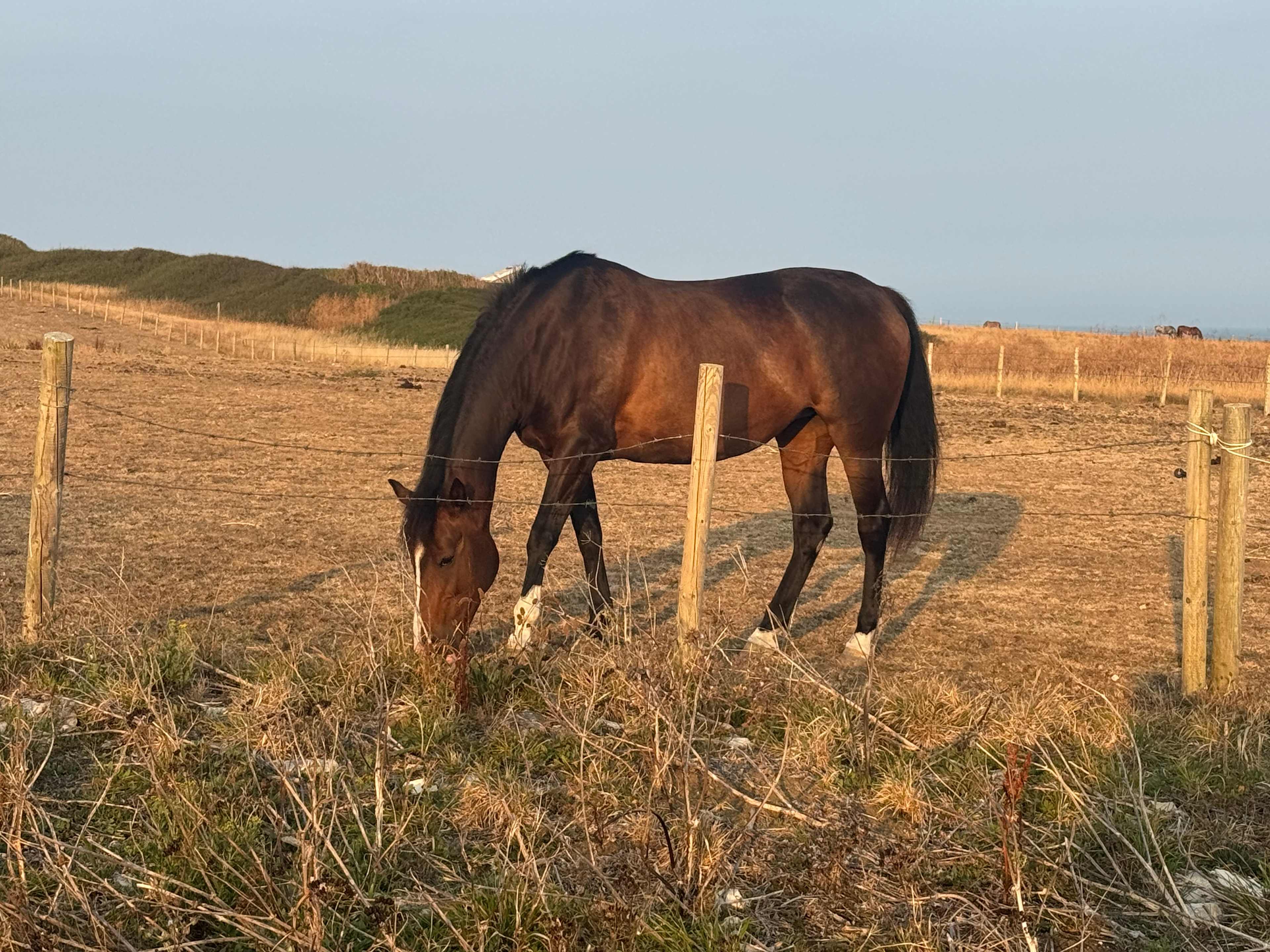 Sweet Hill Farm