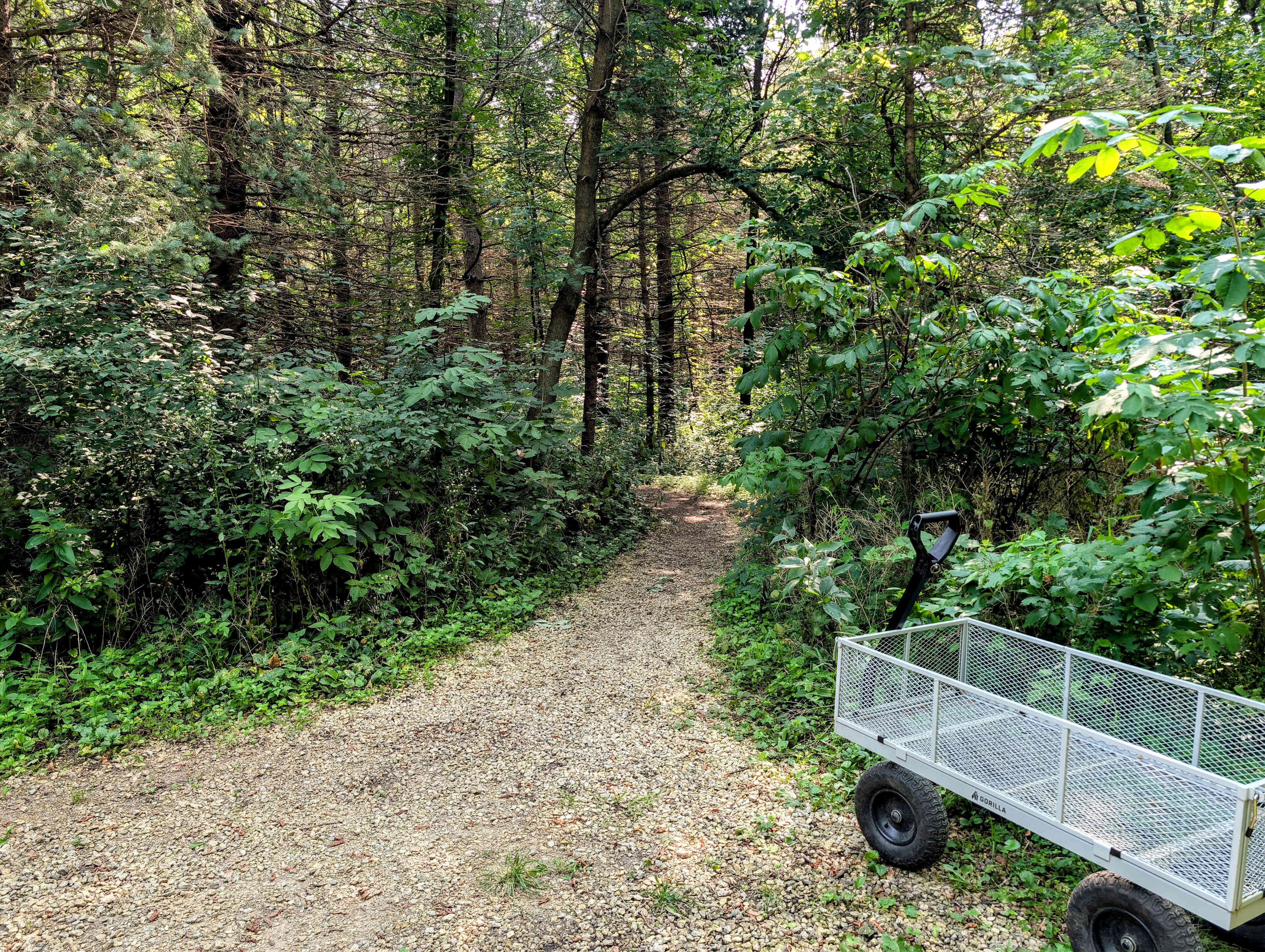 Trailhead to campsites 1-3