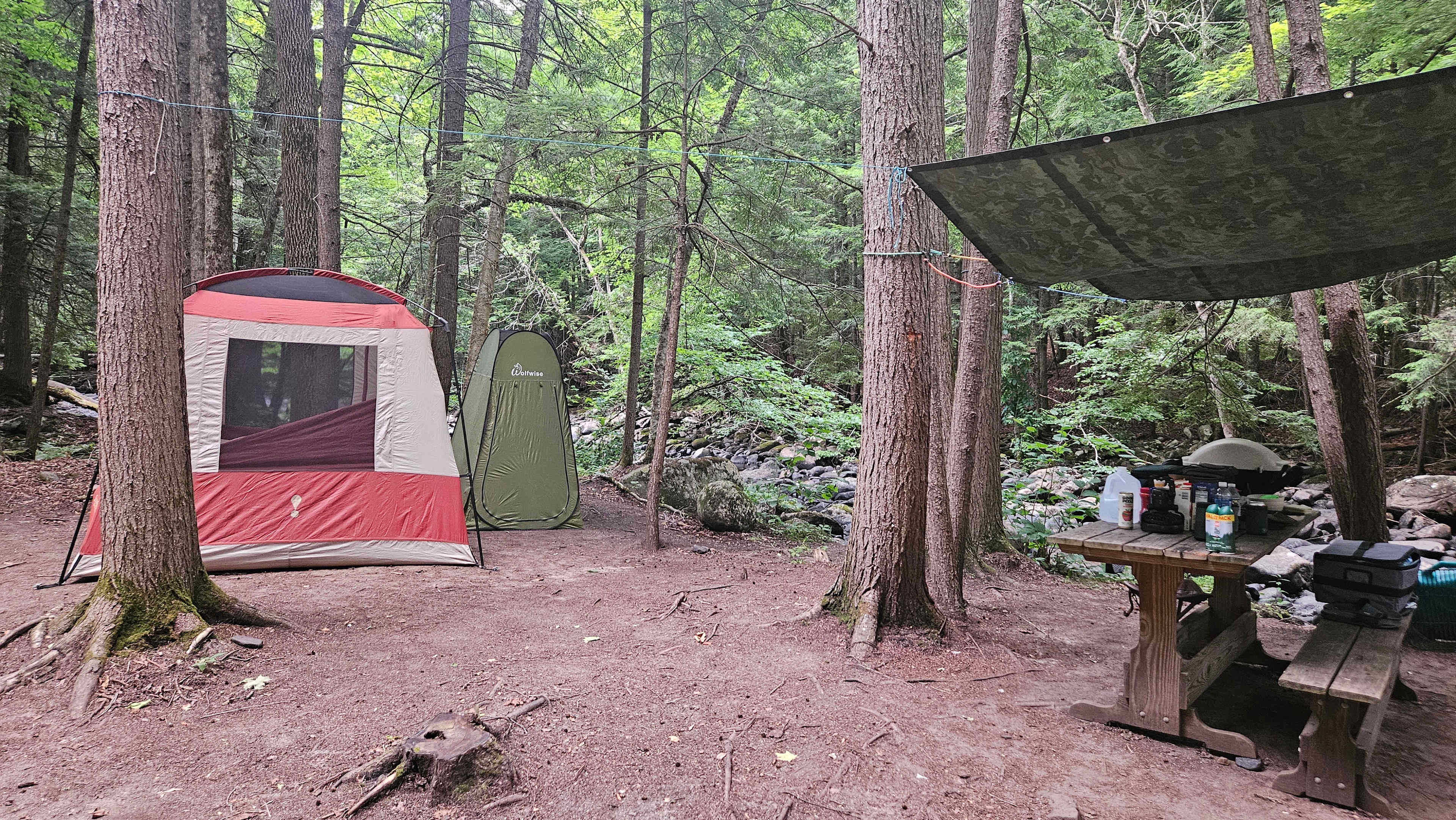 Creekside 1
