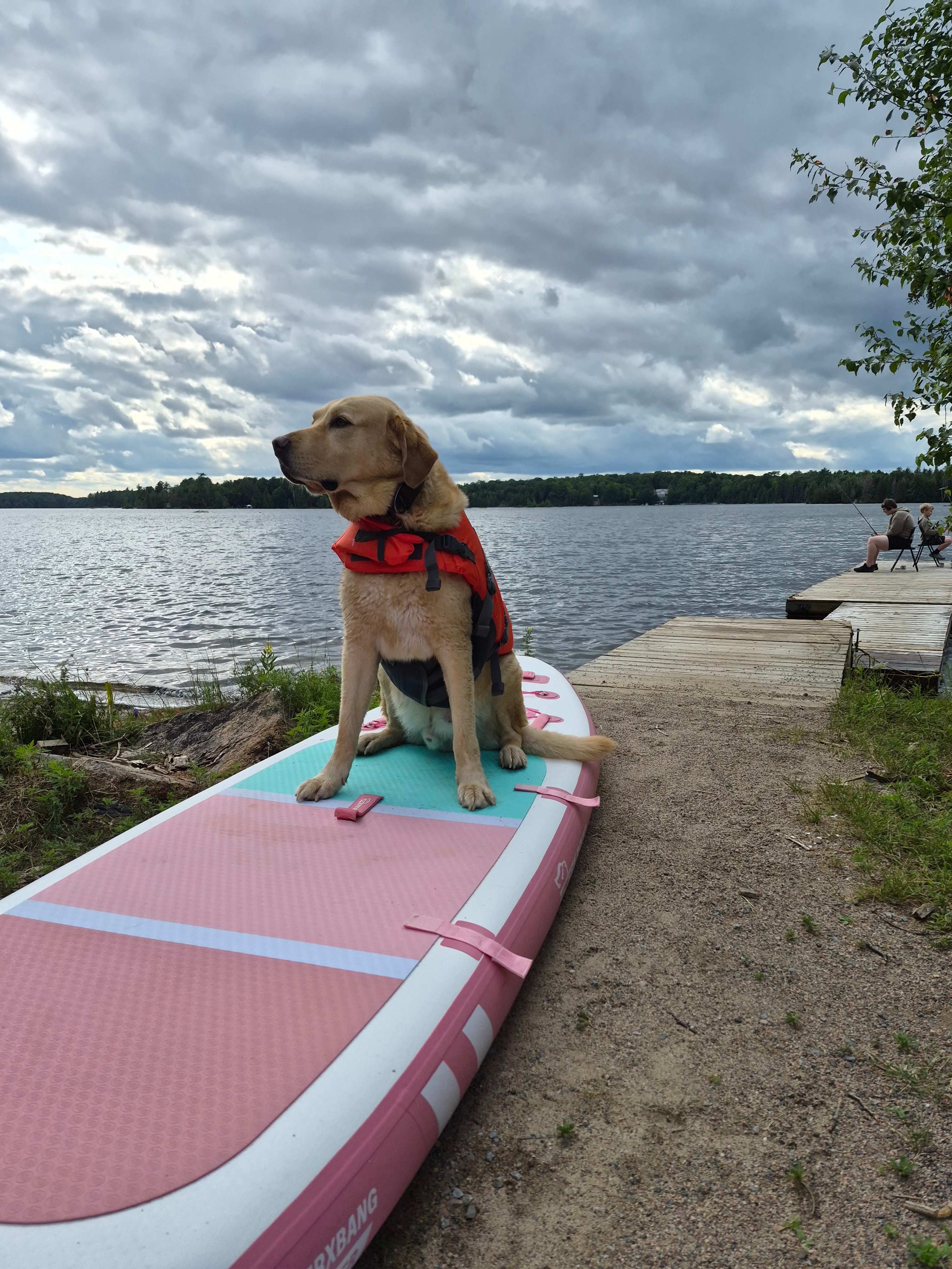 Eel lake paddleboarding with Benjamin 