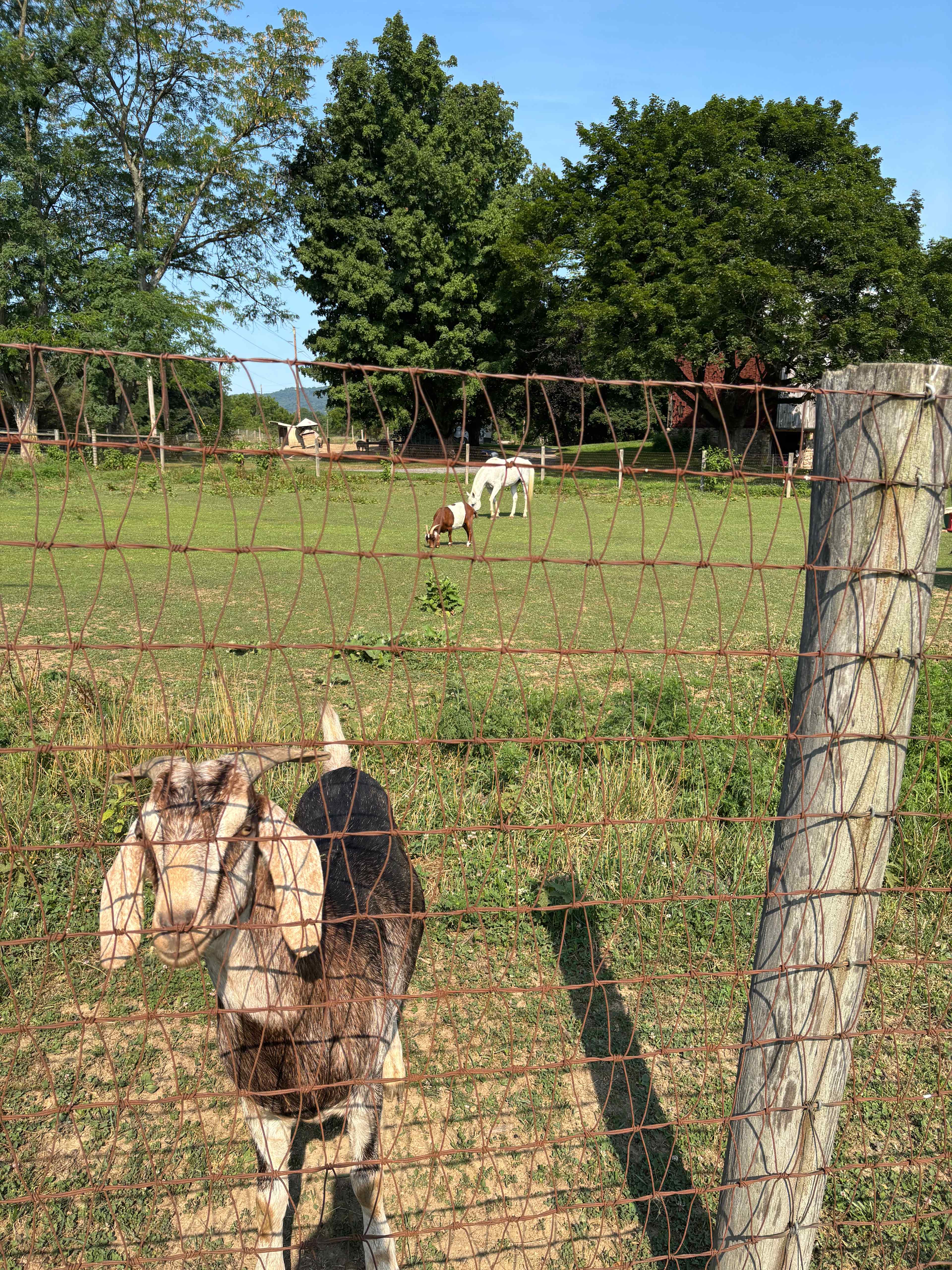 Circle S Farm Camping