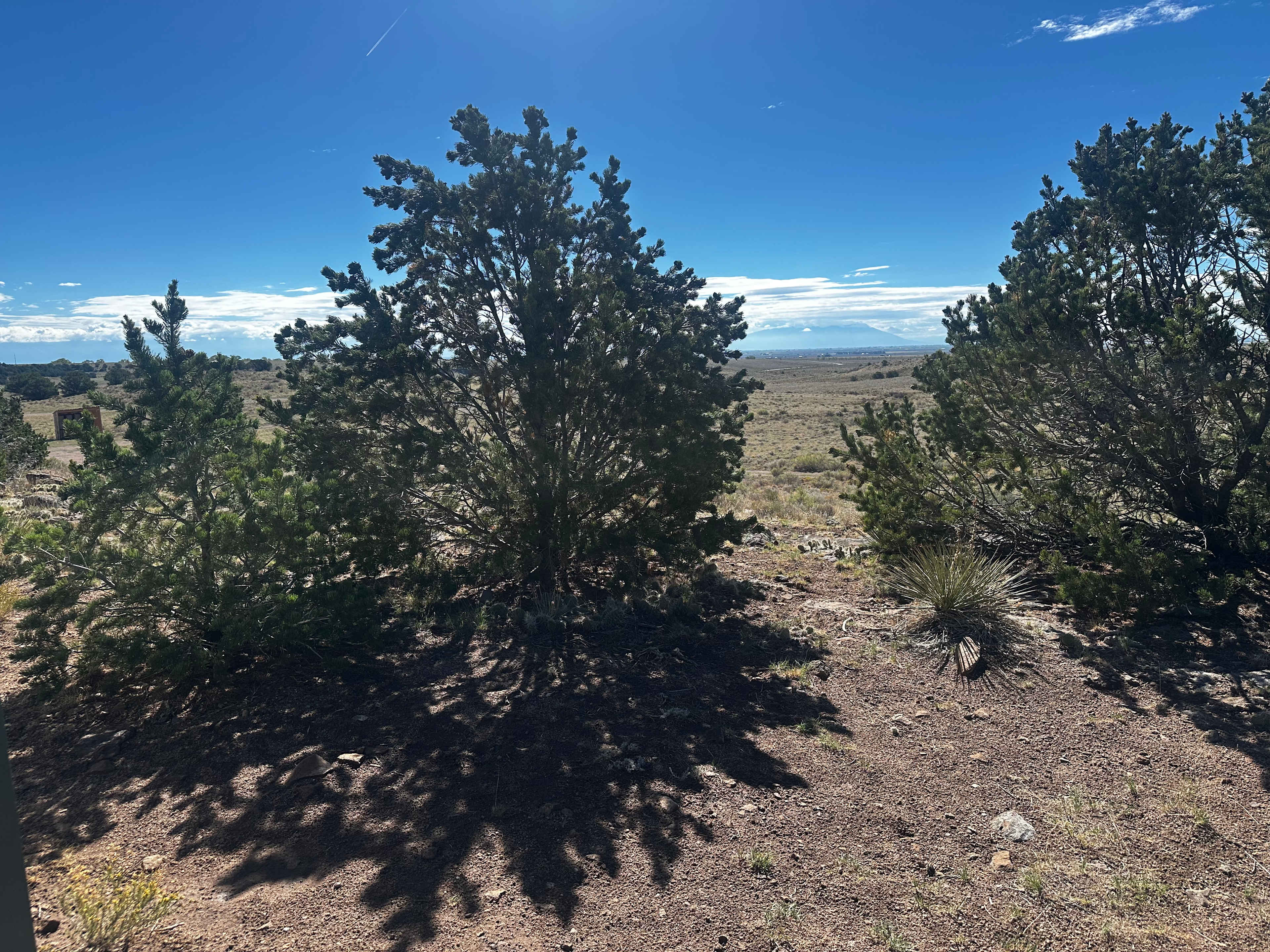 View from porch at Conejos cabin