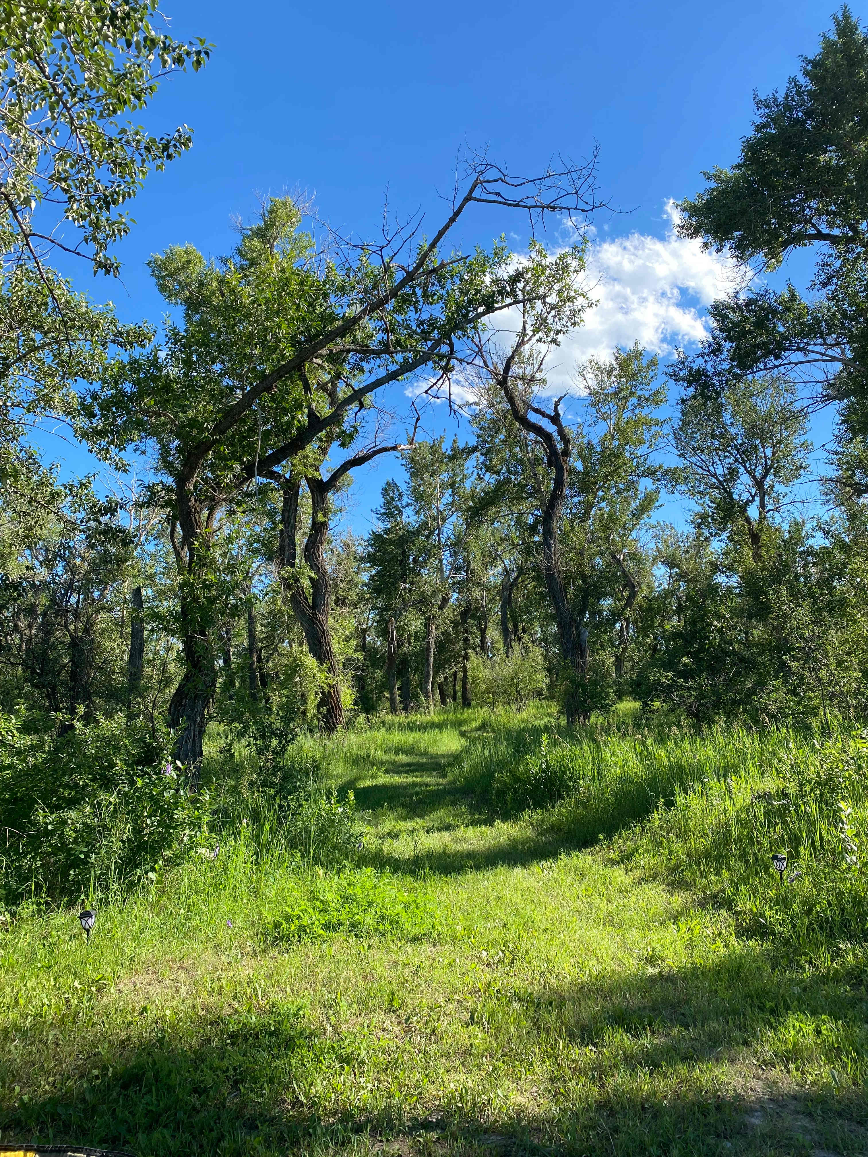 Hiking trails