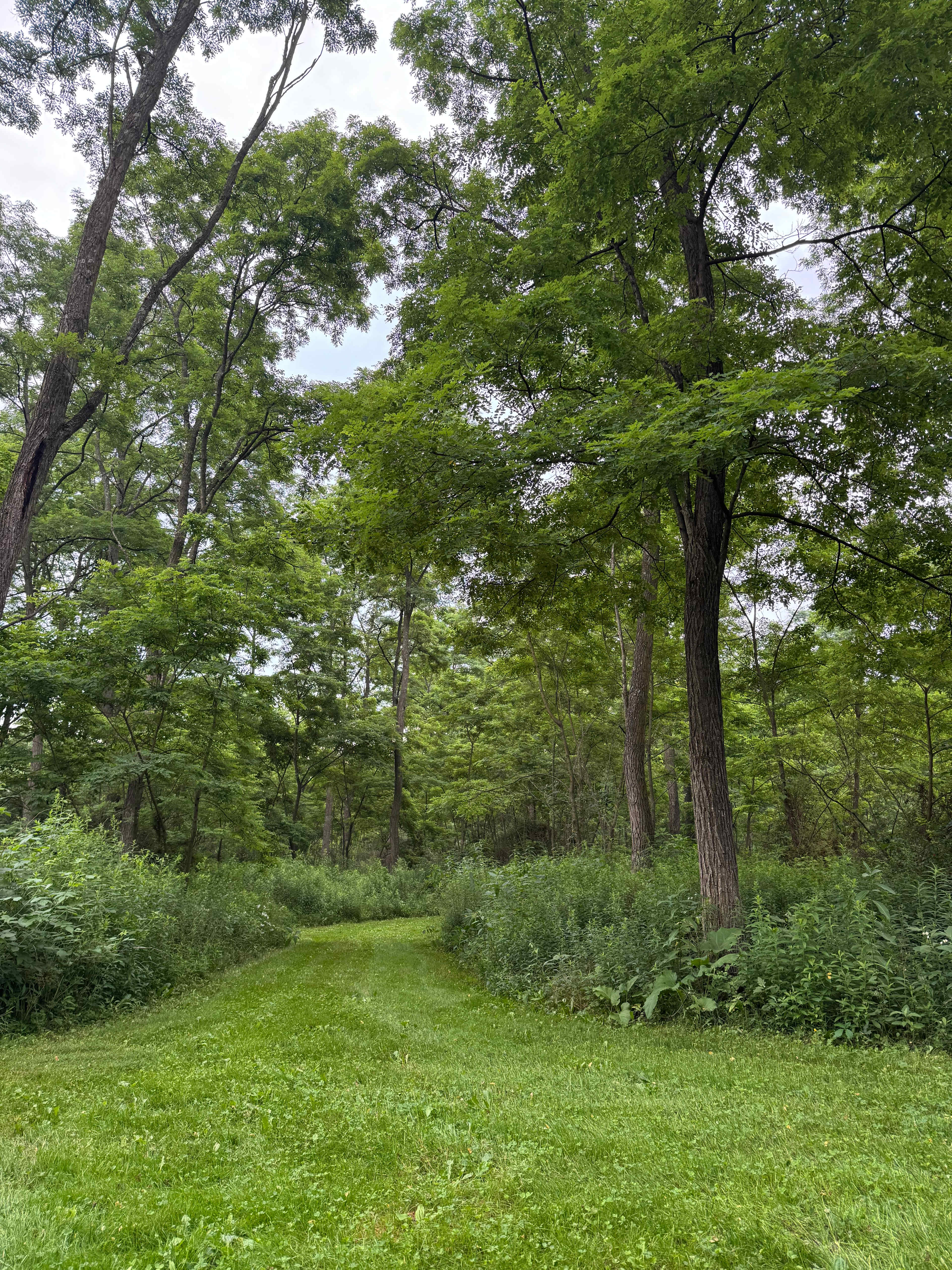 Hawk Meadow Farm