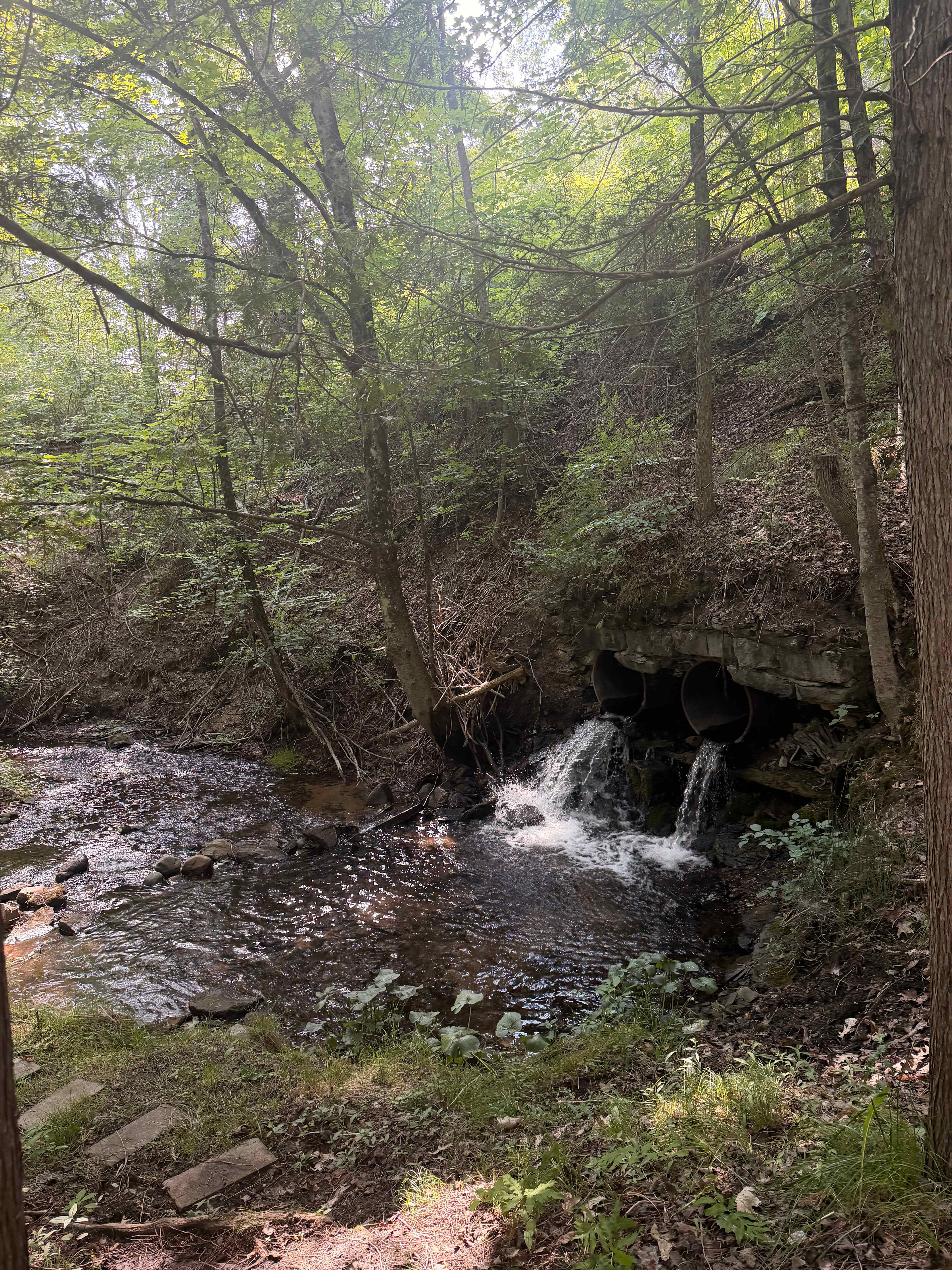 Doriath Springs