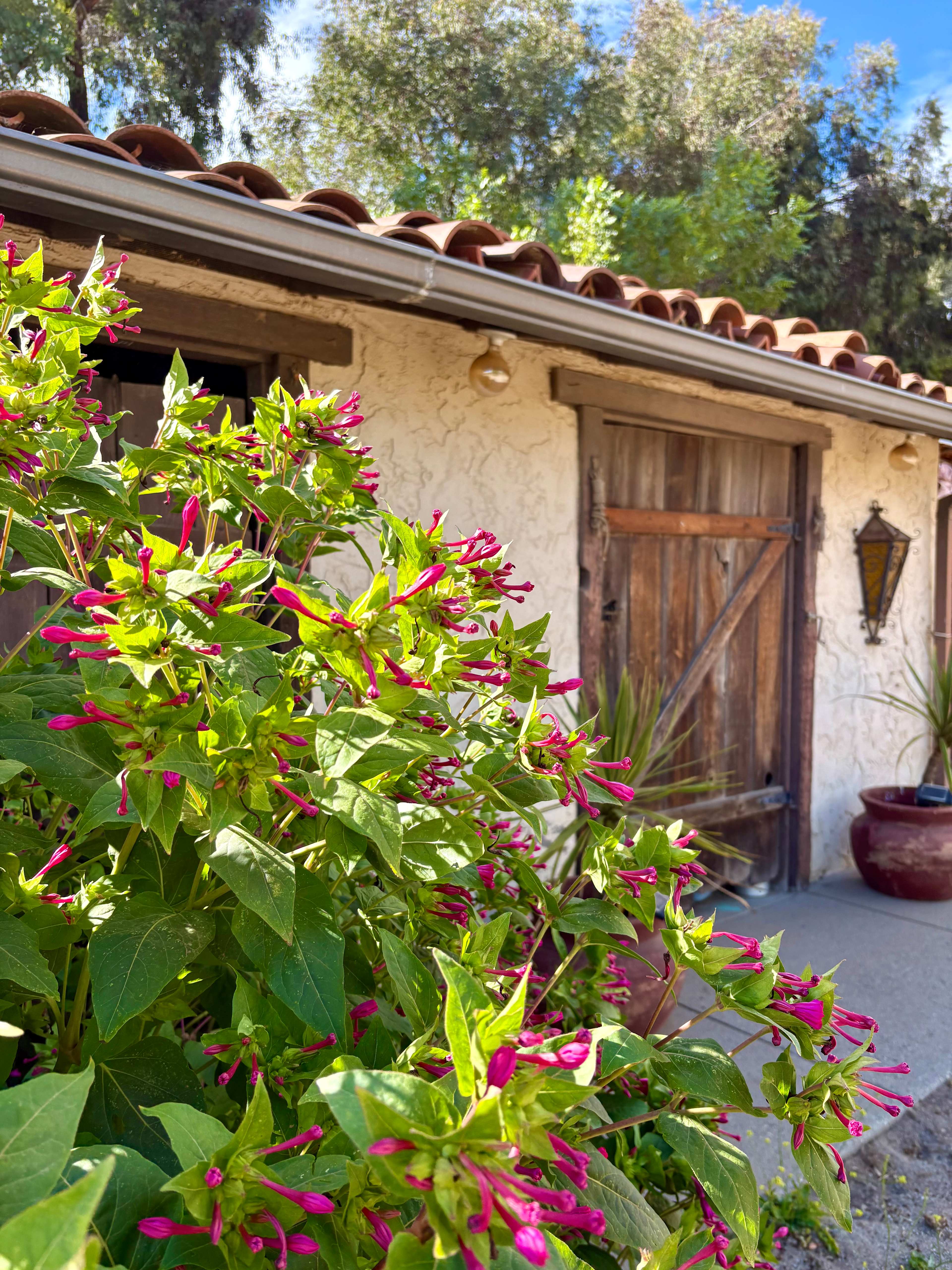 "Mi Querida" -Peaceful, Comfortable, Convenient- Family/Pet Friendly