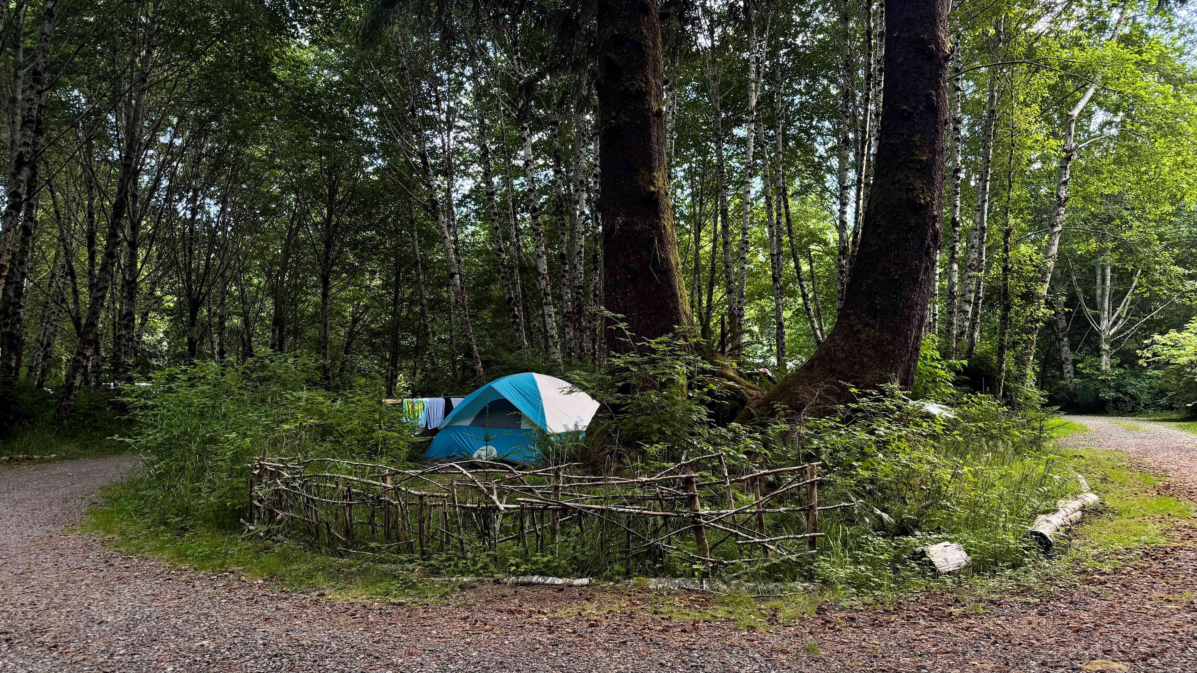 Shangri La Push