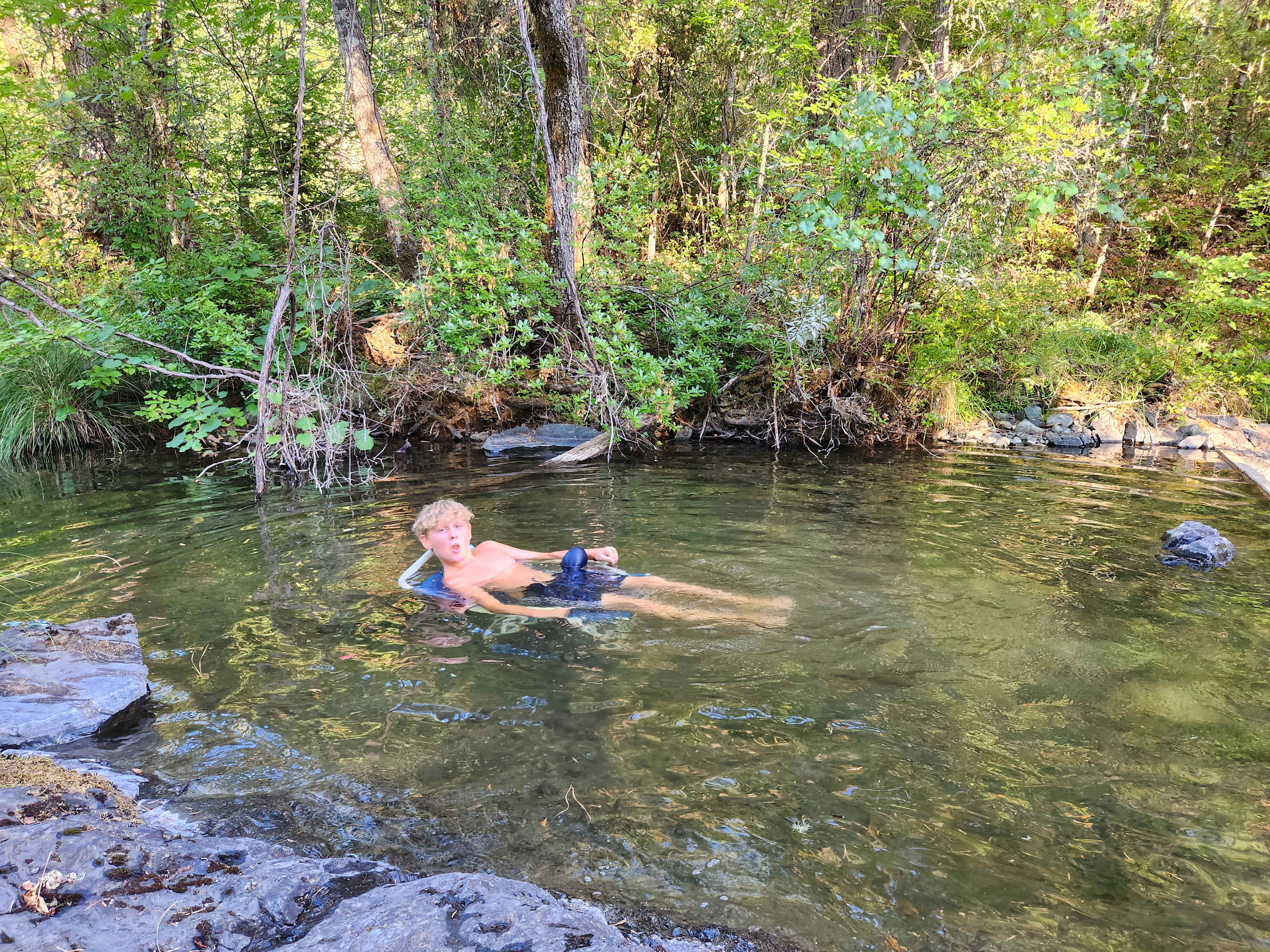 Forested creekside campsite