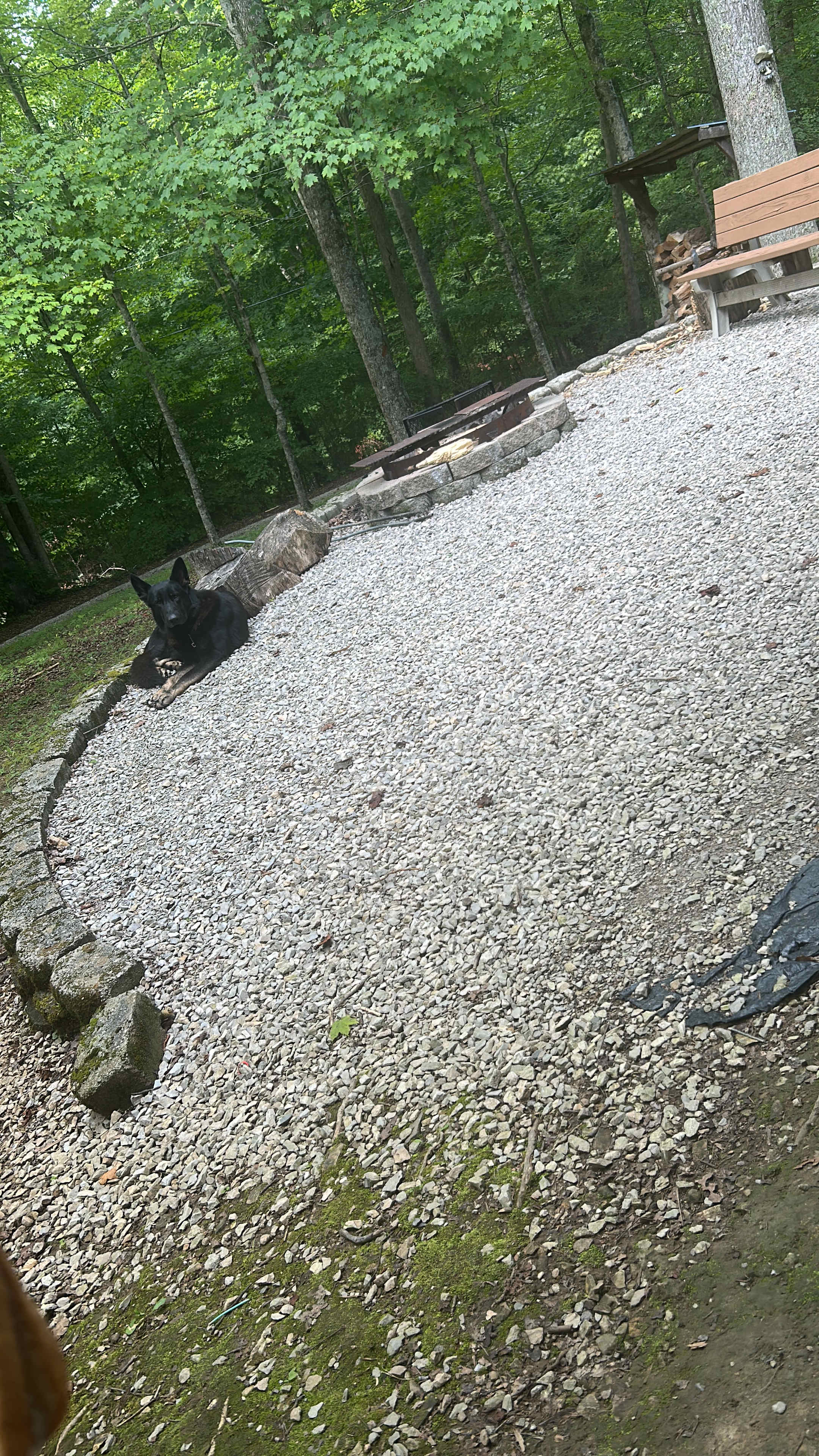 Zuko hangin out by the firepit
