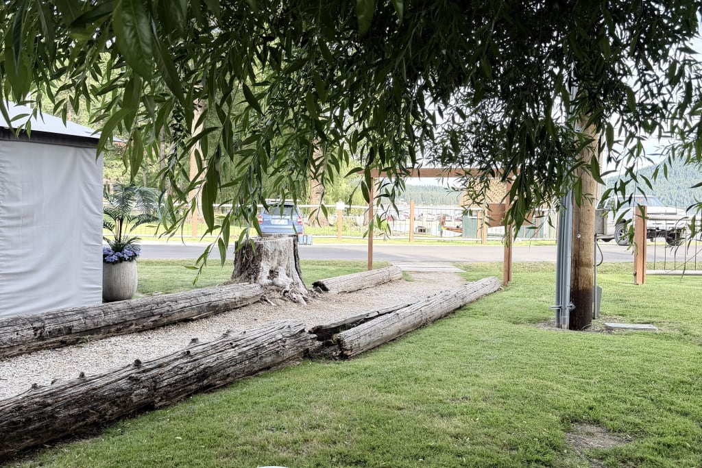 Picture of the site