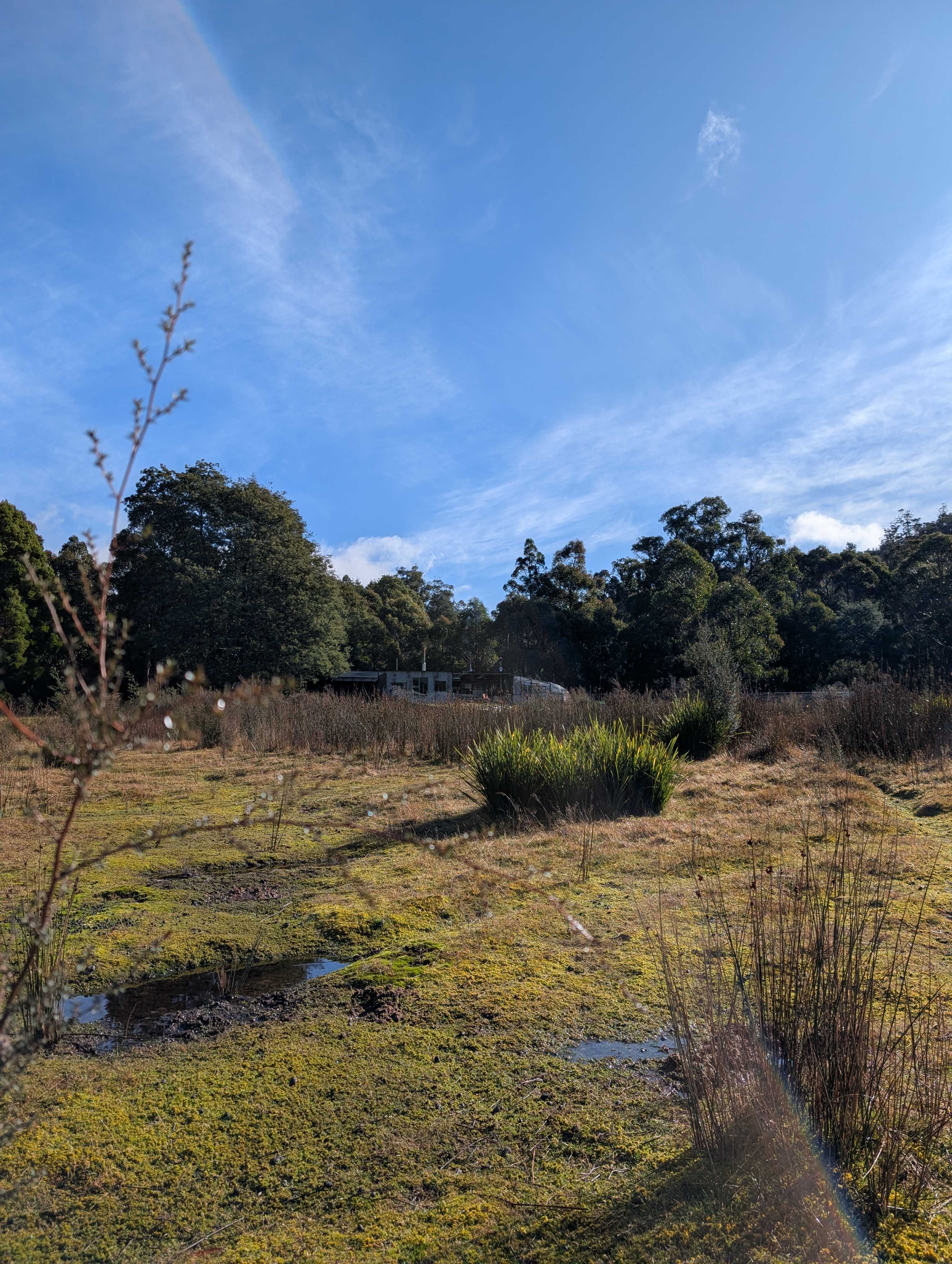 Badgers Flats