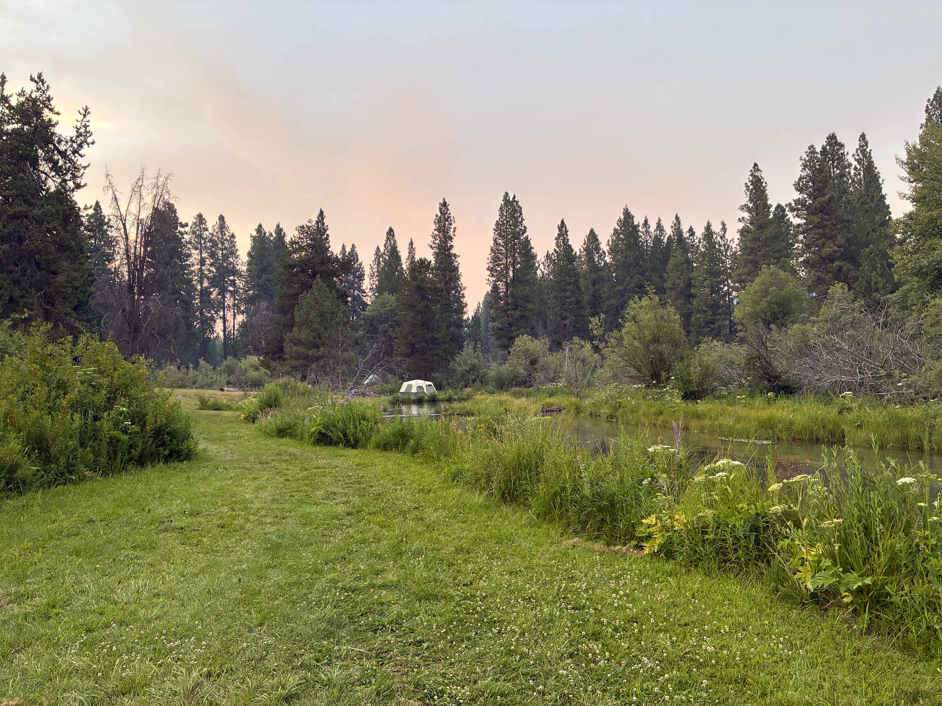 Picture of the site