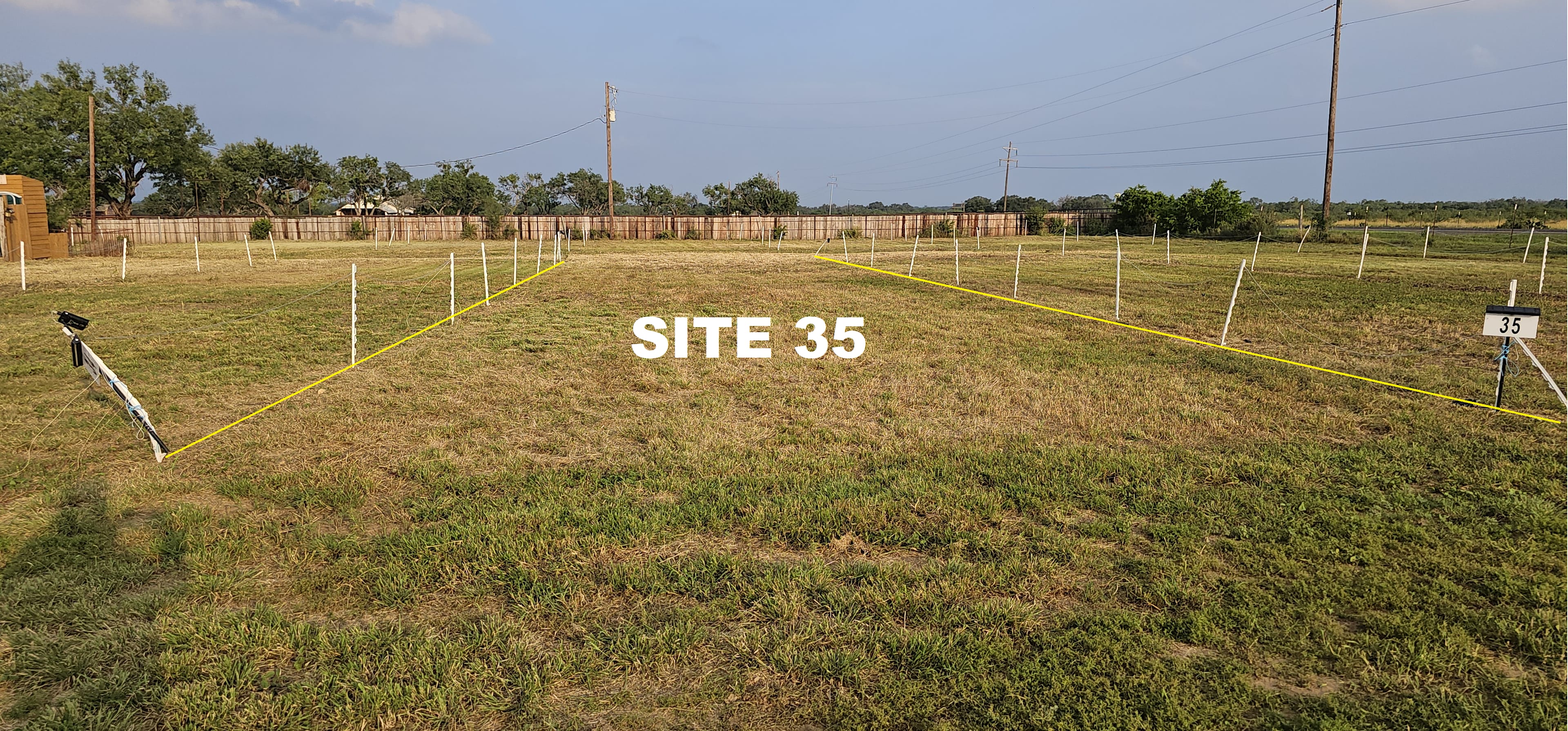 Picture of the site