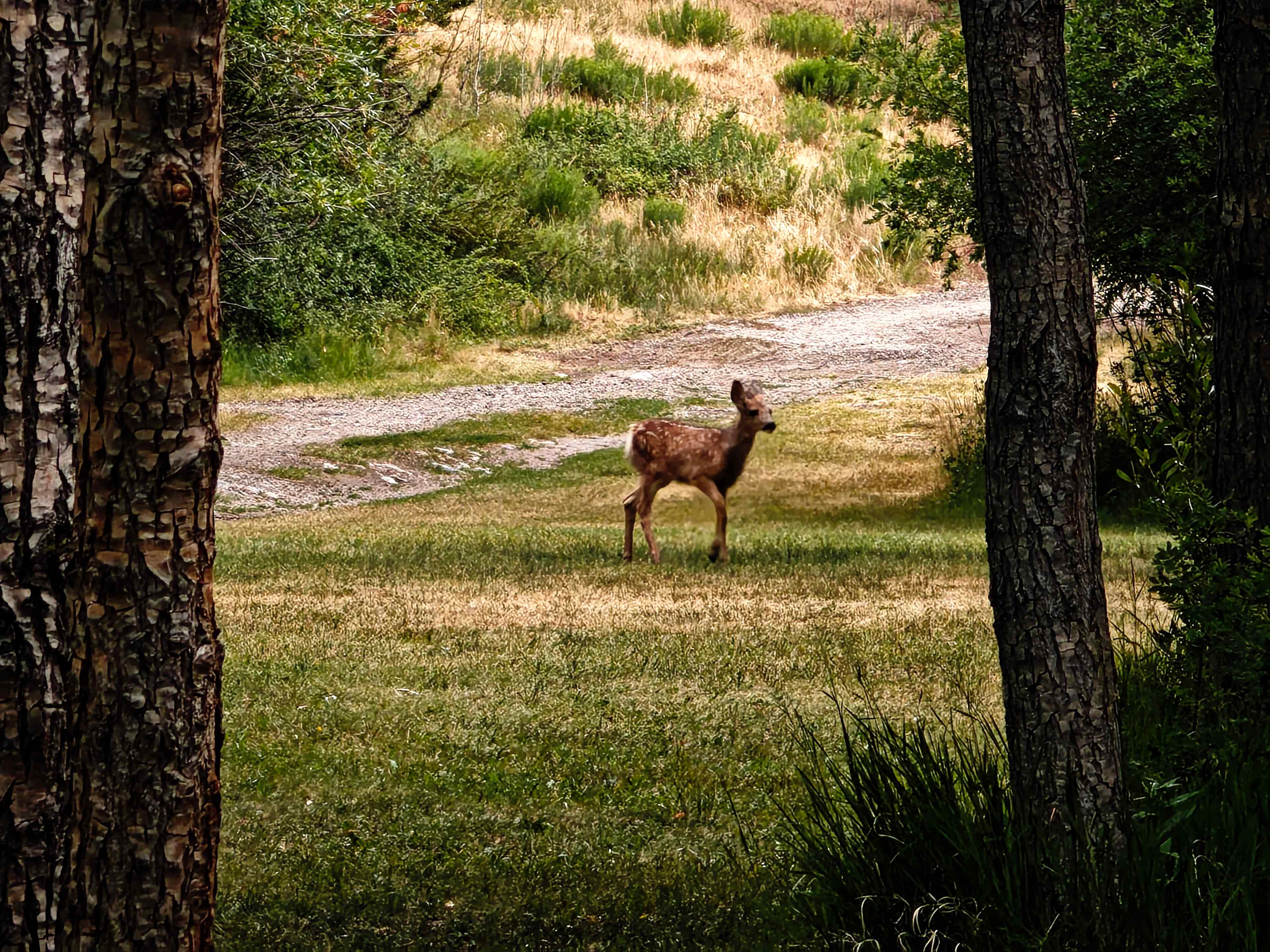 Monarch Spur RV Park and Campground