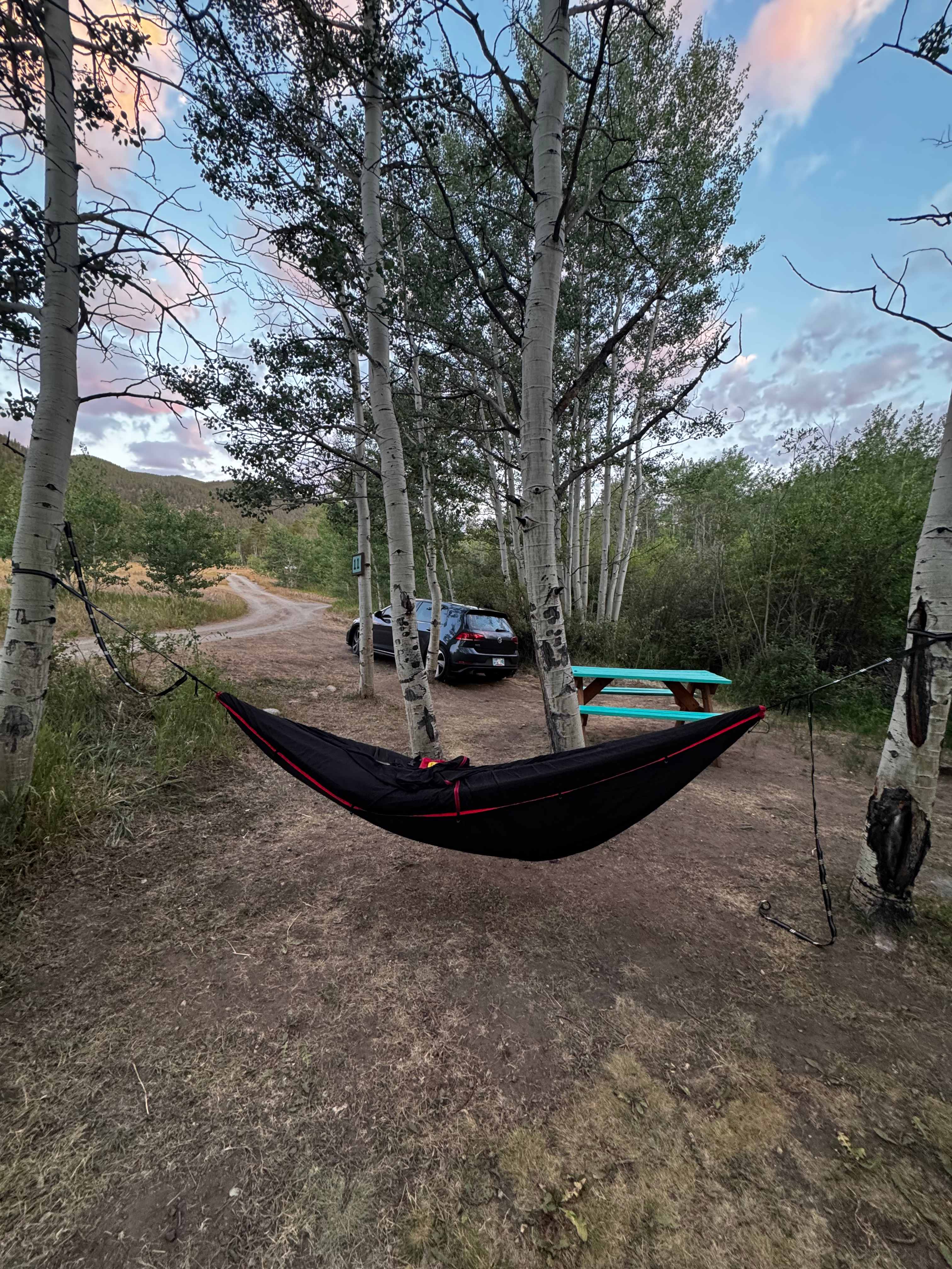Quick hammock setup